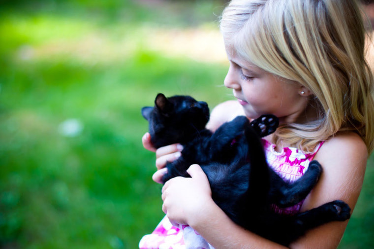 Fun Facts and Myths around Black Cats