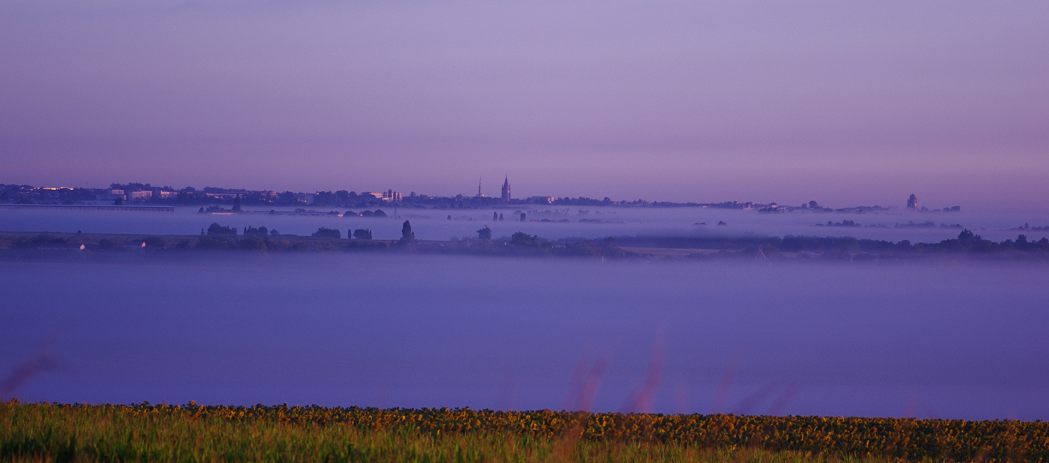 Pentax smc D-FA 100mm F2.8 Macro WR sample photo. Saintes photography
