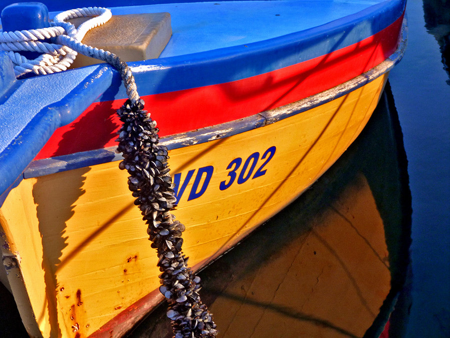 Panasonic DMC-FT2 sample photo. Colorful boat photography
