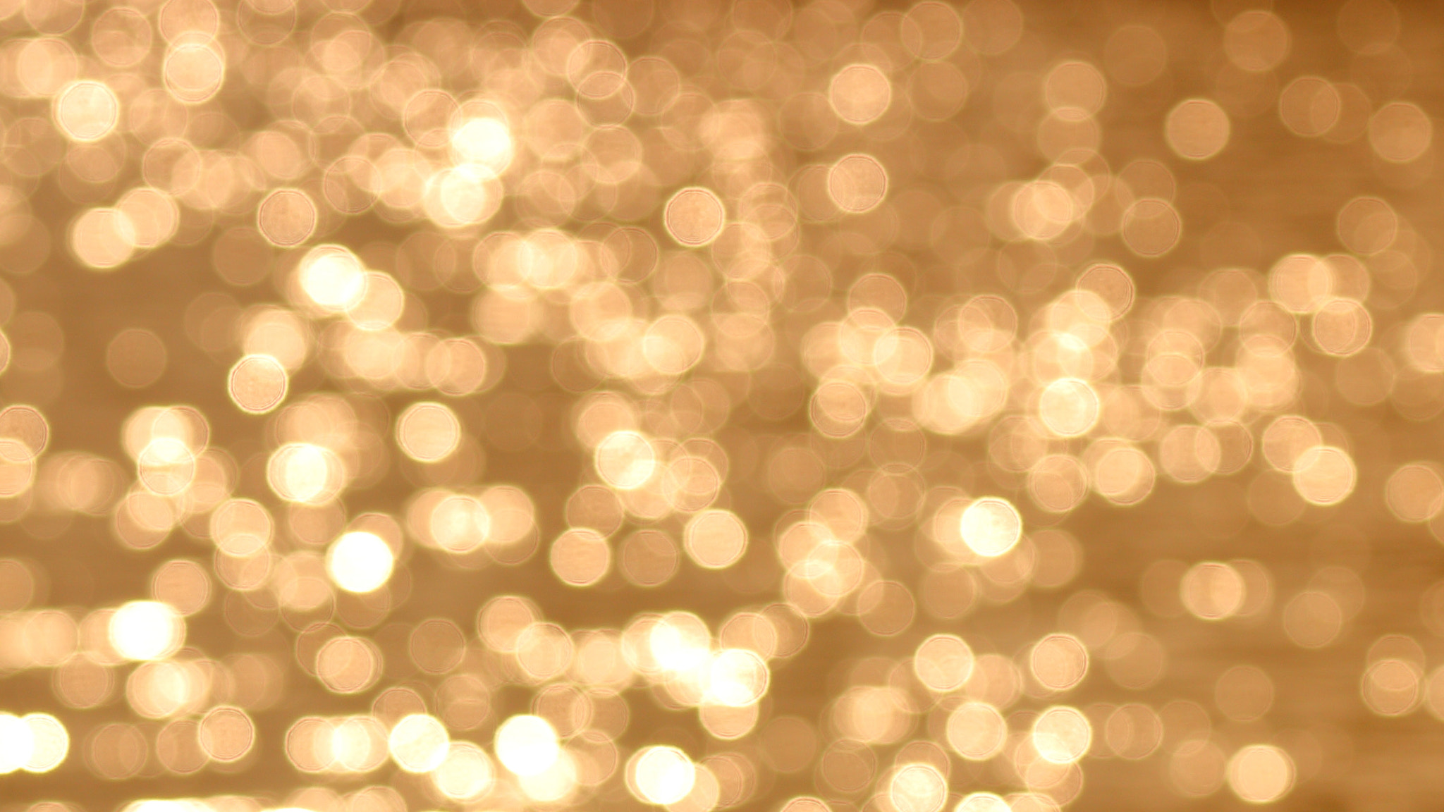 Canon EF 70-300mm F4-5.6L IS USM sample photo. Bokeh photography