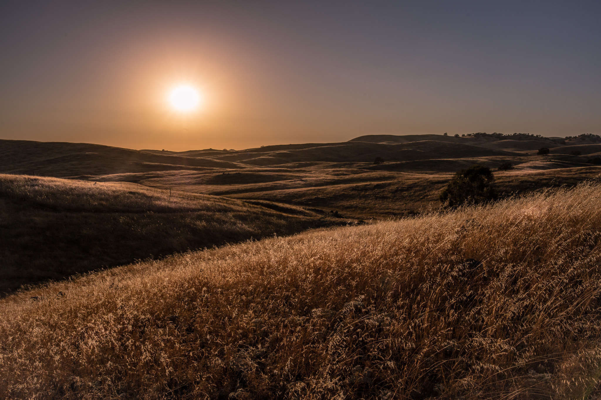 ZEISS Otus 28mm F1.4 sample photo. Golden sky photography