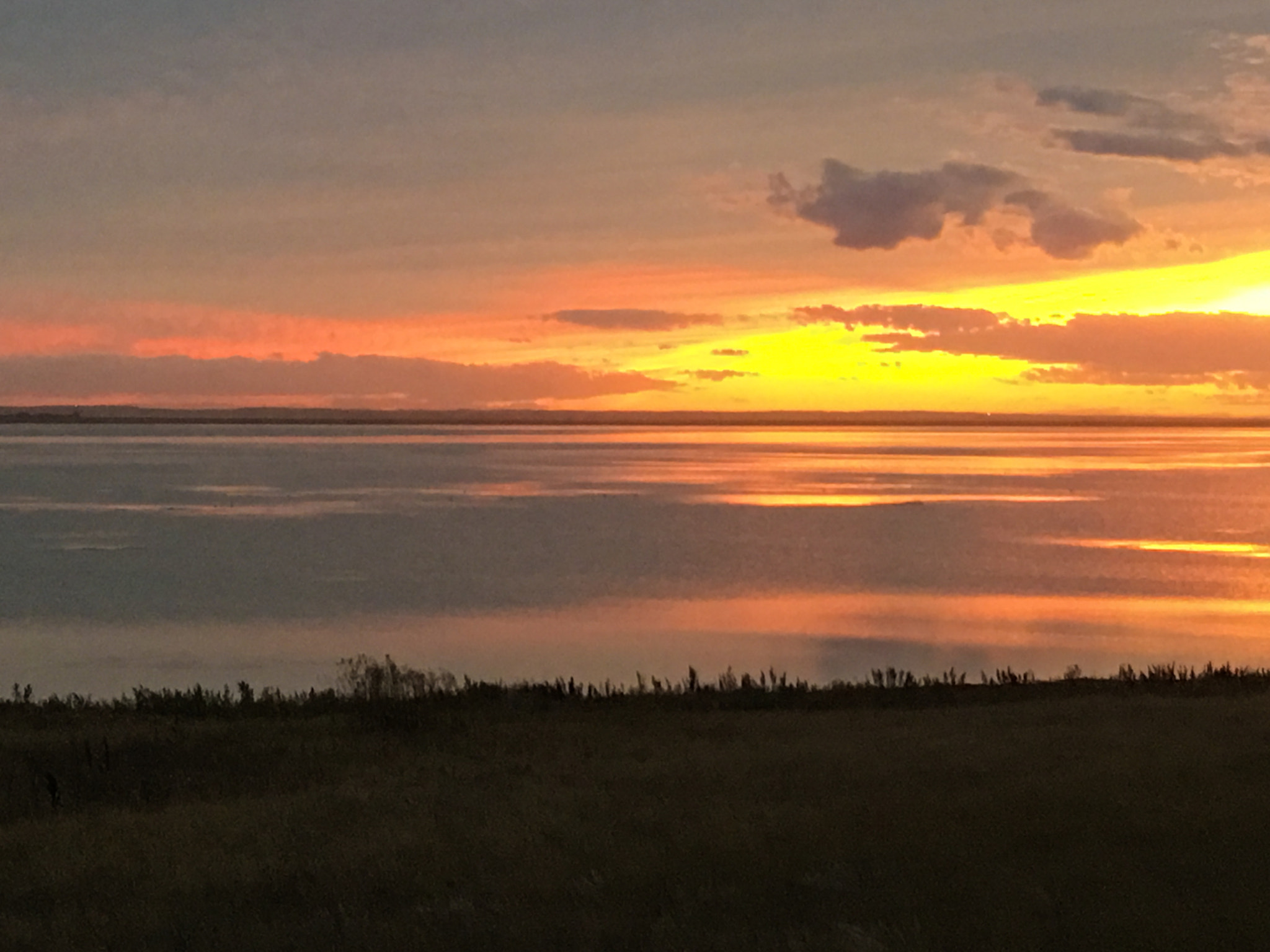 Apple iPhone8,2 sample photo. Reed lake saskatchewan photography