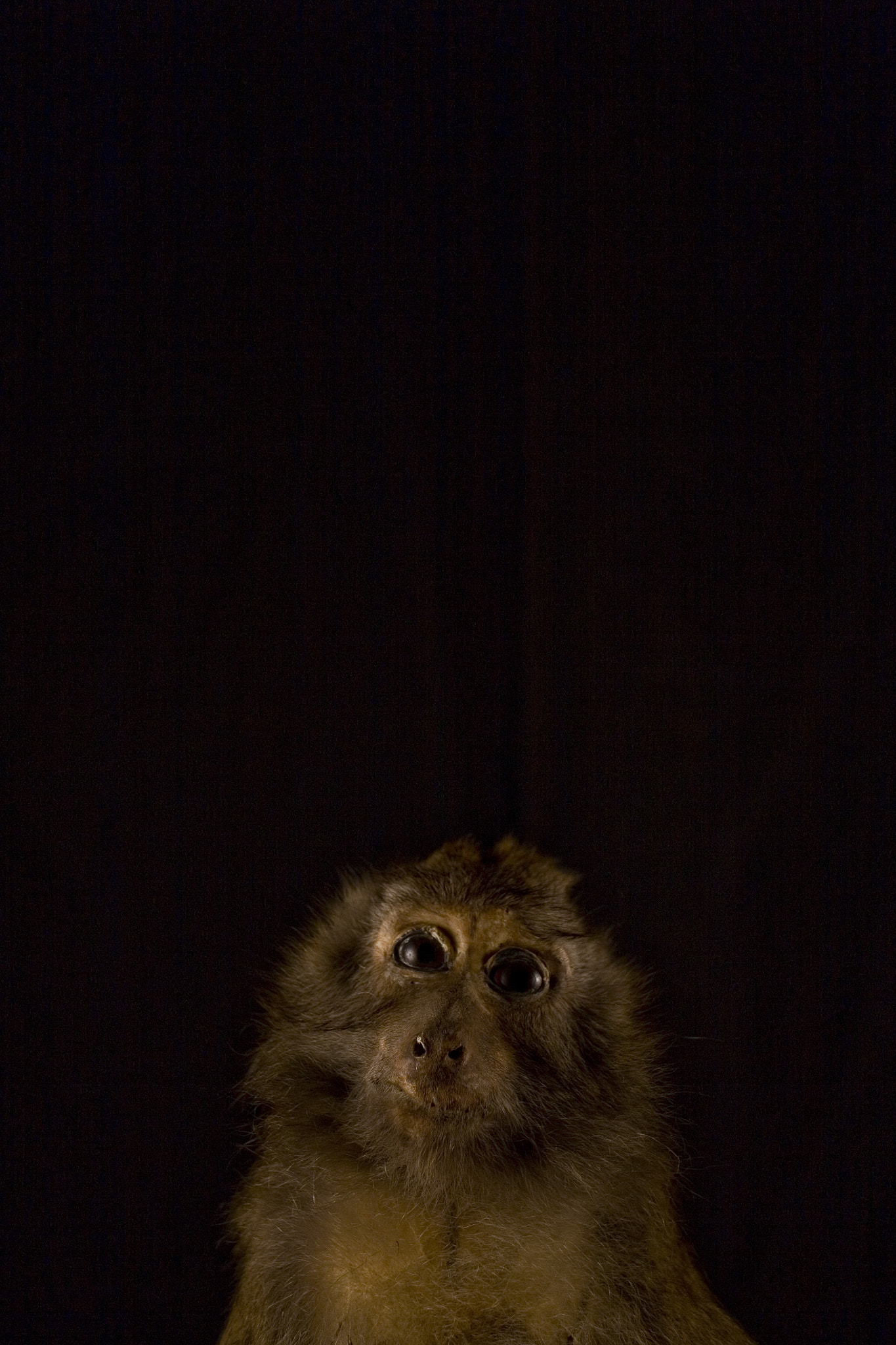 Canon EOS 5D + Canon EF 35mm F2 sample photo. Les sentimentaux i photography
