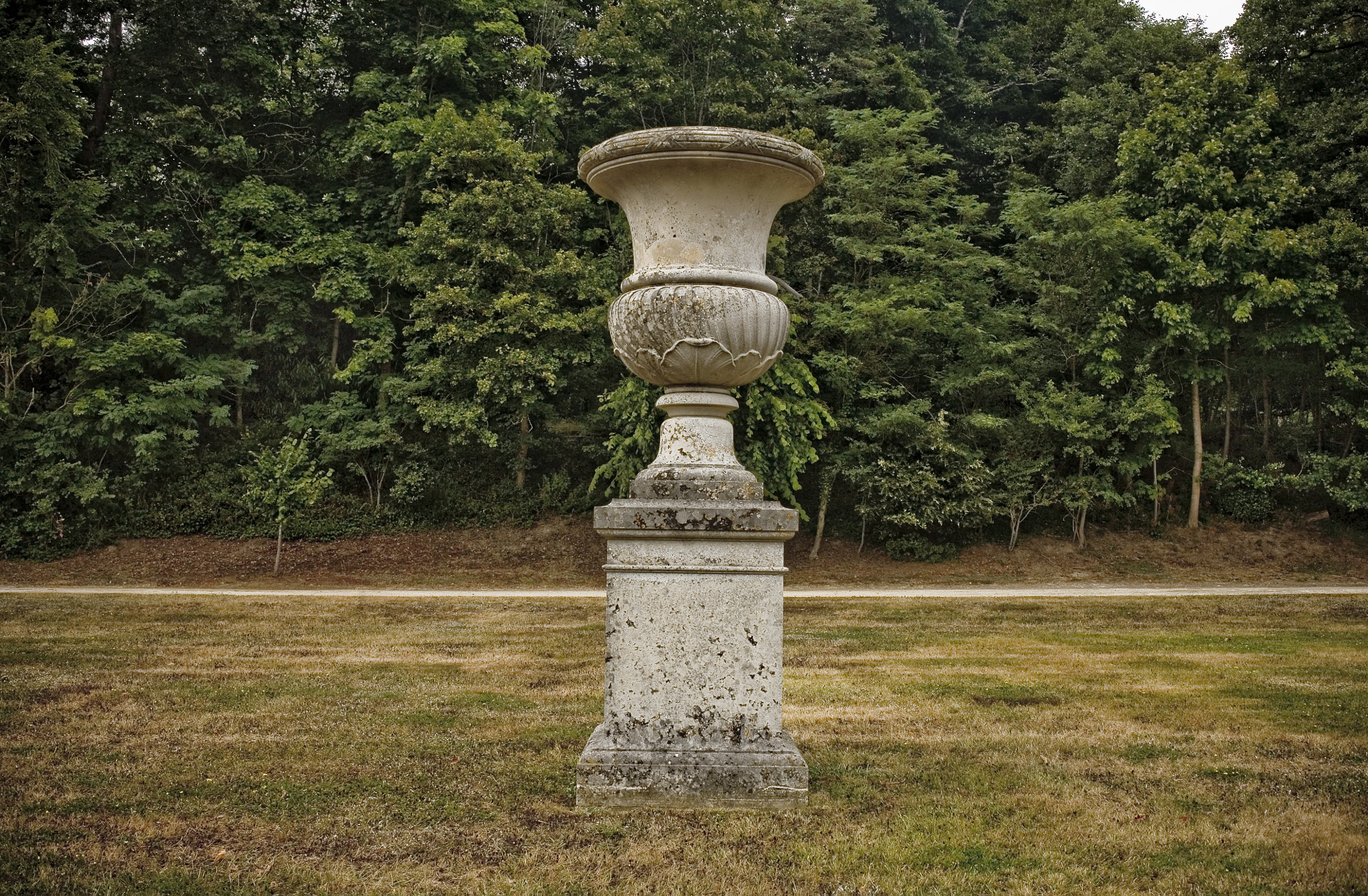 Canon EOS 5D + Canon EF 35mm F2 sample photo. Le pot photography
