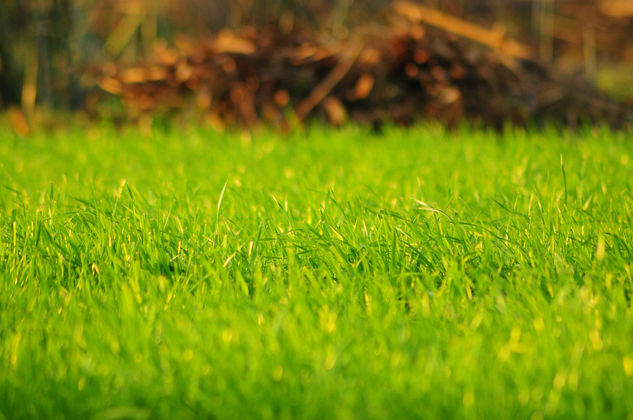 Nikon AF Nikkor 70-300mm F4-5.6G sample photo. Green field photography