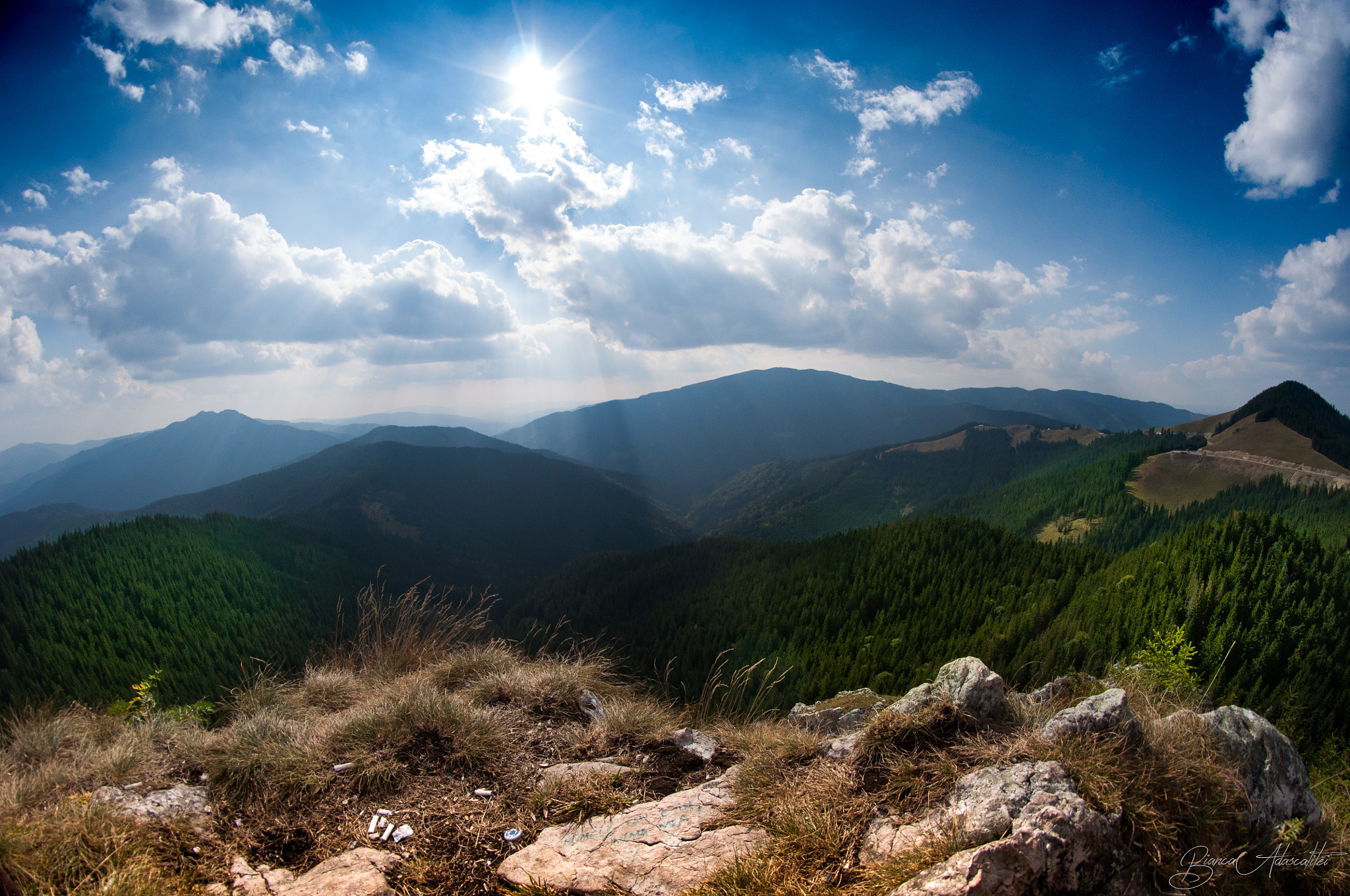 Nikon D5000 + Samyang 8mm F3.5 Aspherical IF MC Fisheye sample photo. On top photography