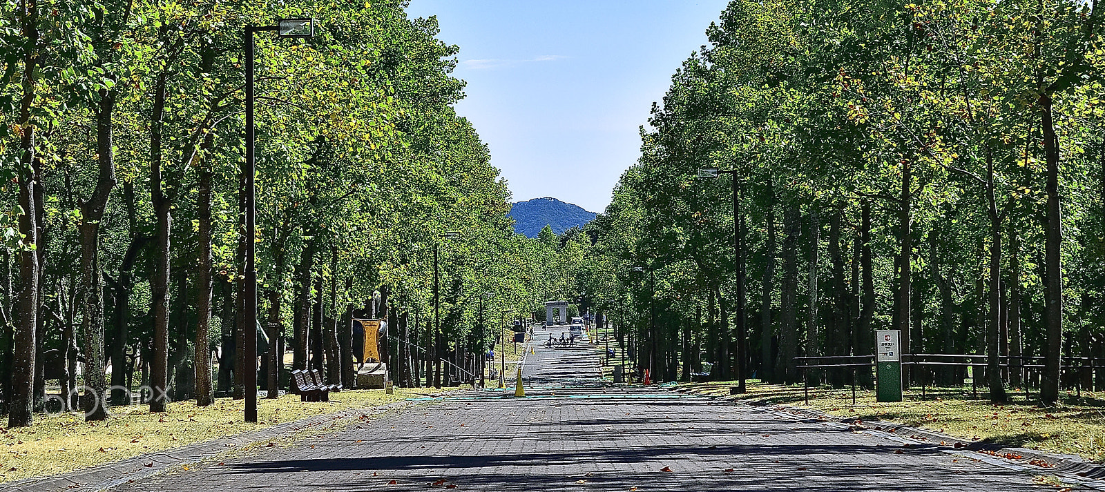 Nikon D200 + Nikon AF-S Nikkor 28-300mm F3.5-5.6G ED VR sample photo. Tree-lined road to happiness photography