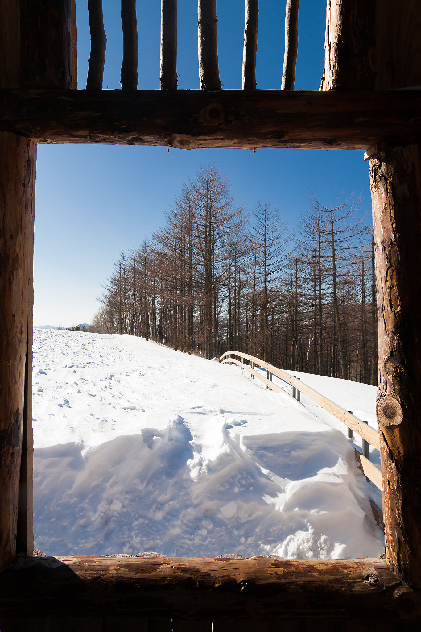 Tokina AT-X Pro 12-24mm F4 (IF) DX sample photo. Untitle photography