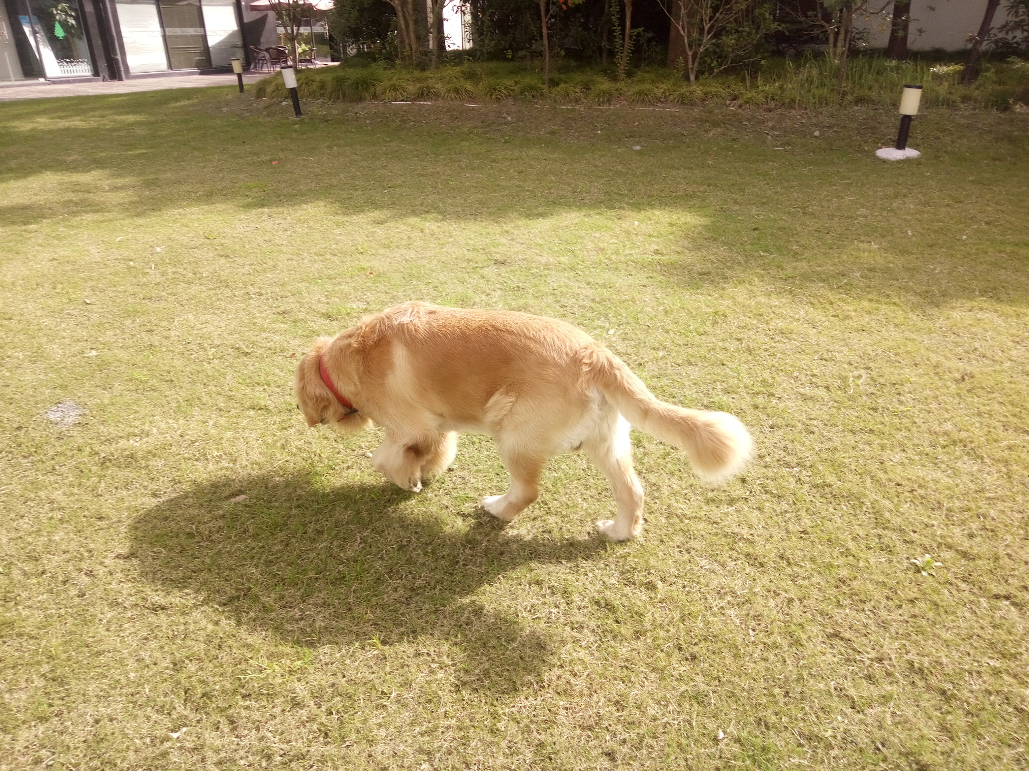 OPPO R7s sample photo