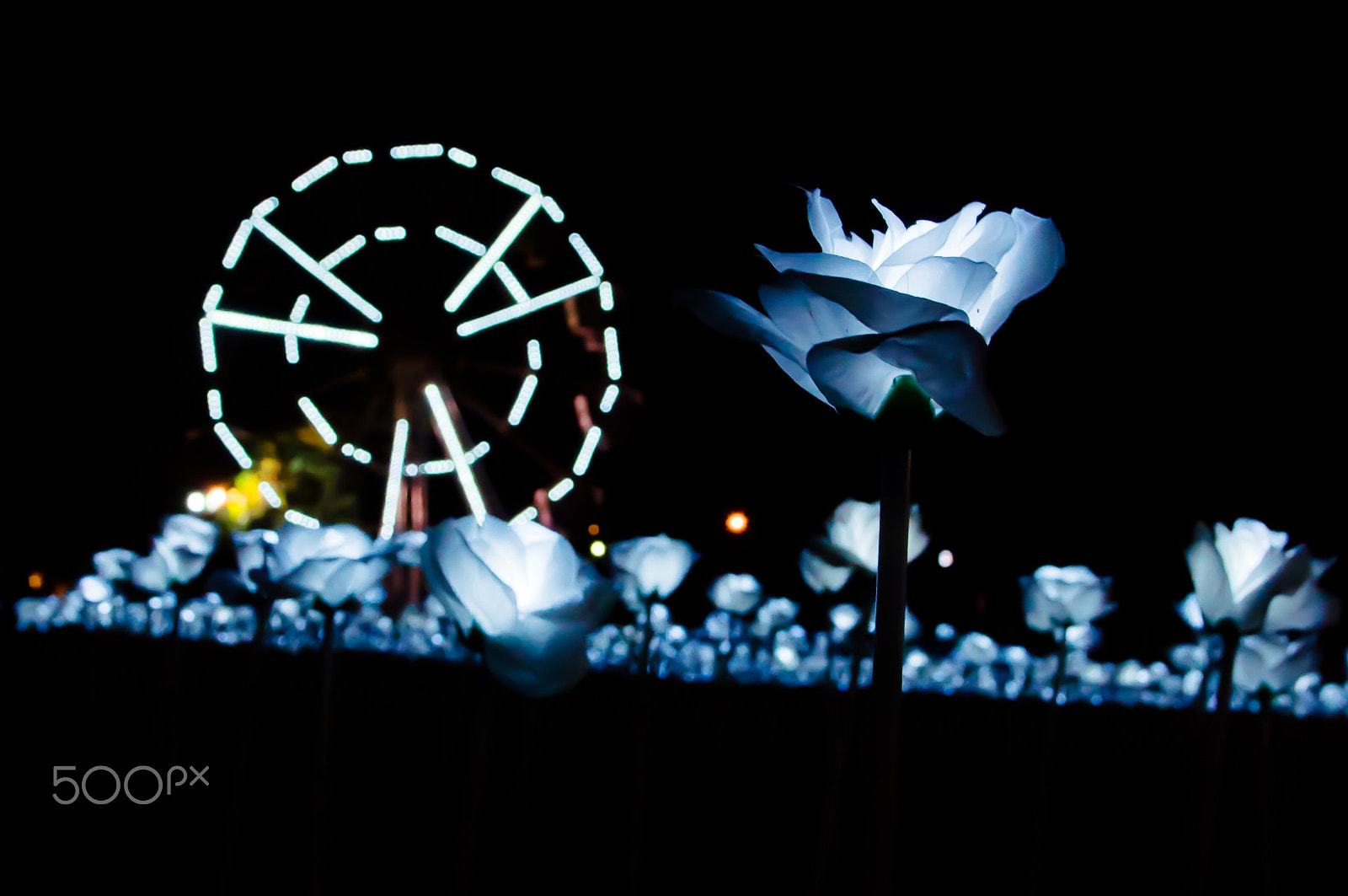 Sigma 17-70mm F2.8-4 DC Macro OS HSM sample photo. Light sensation 2016 photography