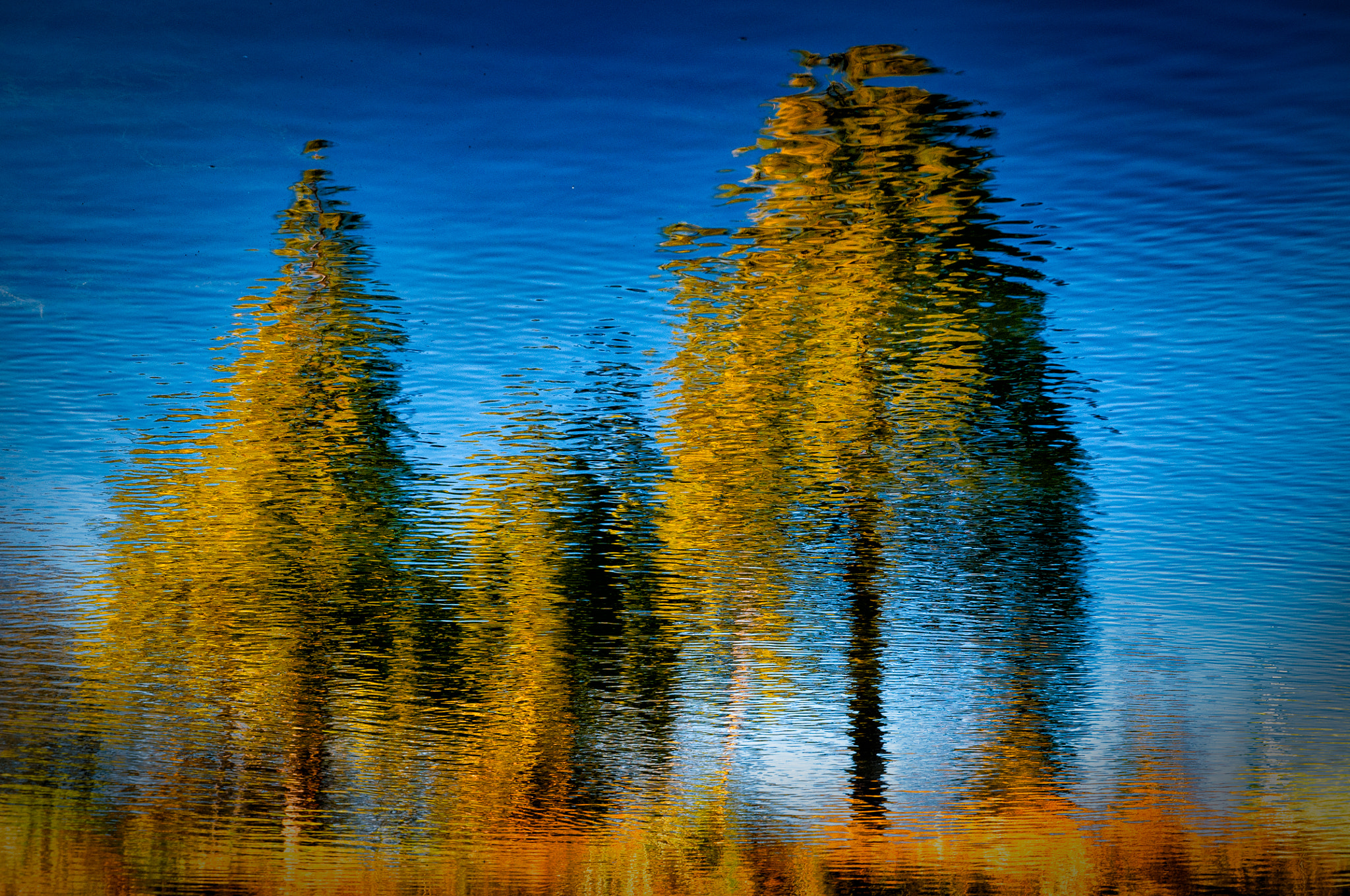 Sigma 17-70mm F2.8-4 DC Macro OS HSM | C sample photo. Ripple painting photography