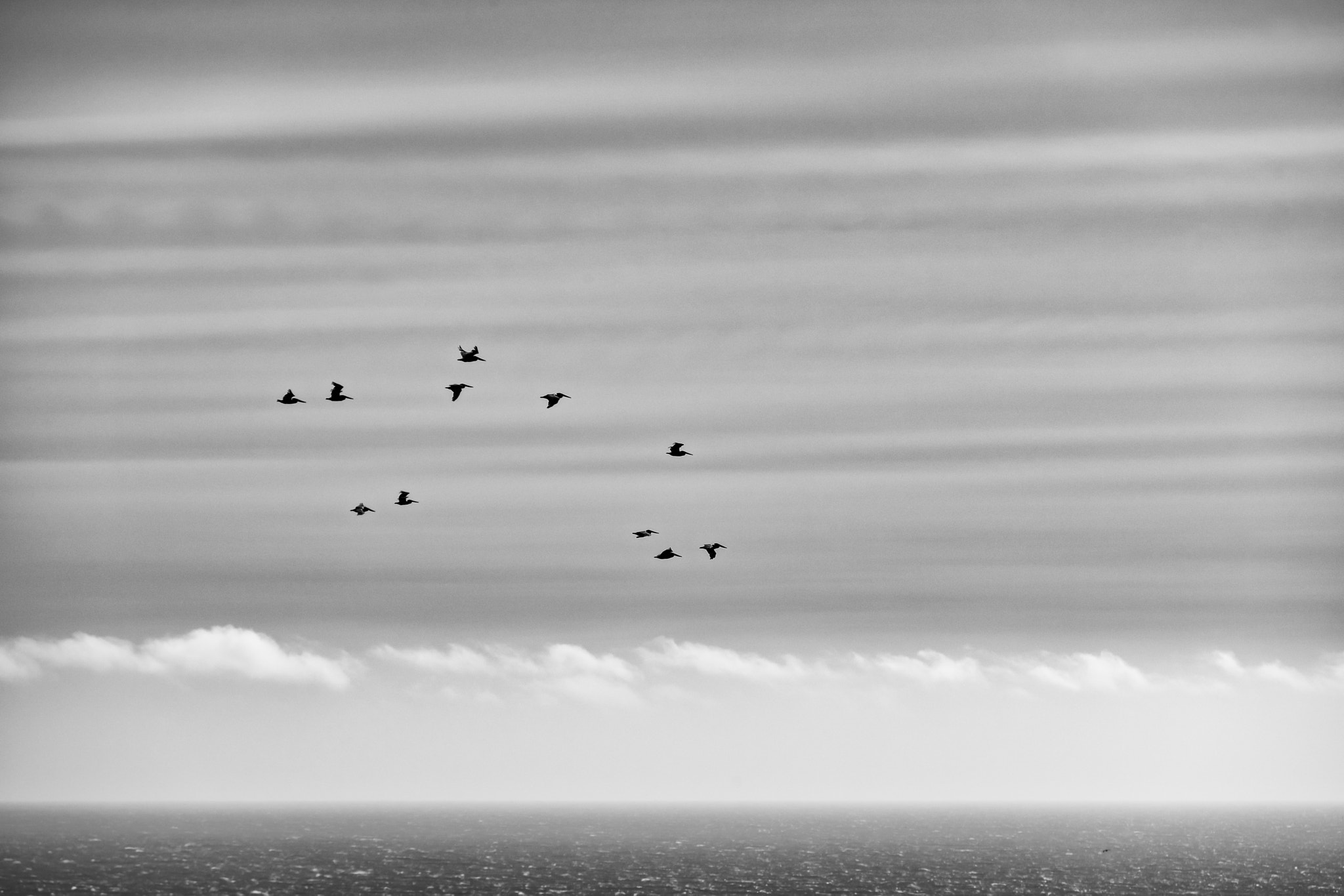 Sigma APO 100-300mm F4 EX IF HSM + 1.4x sample photo. Flying over golden gate bridge photography