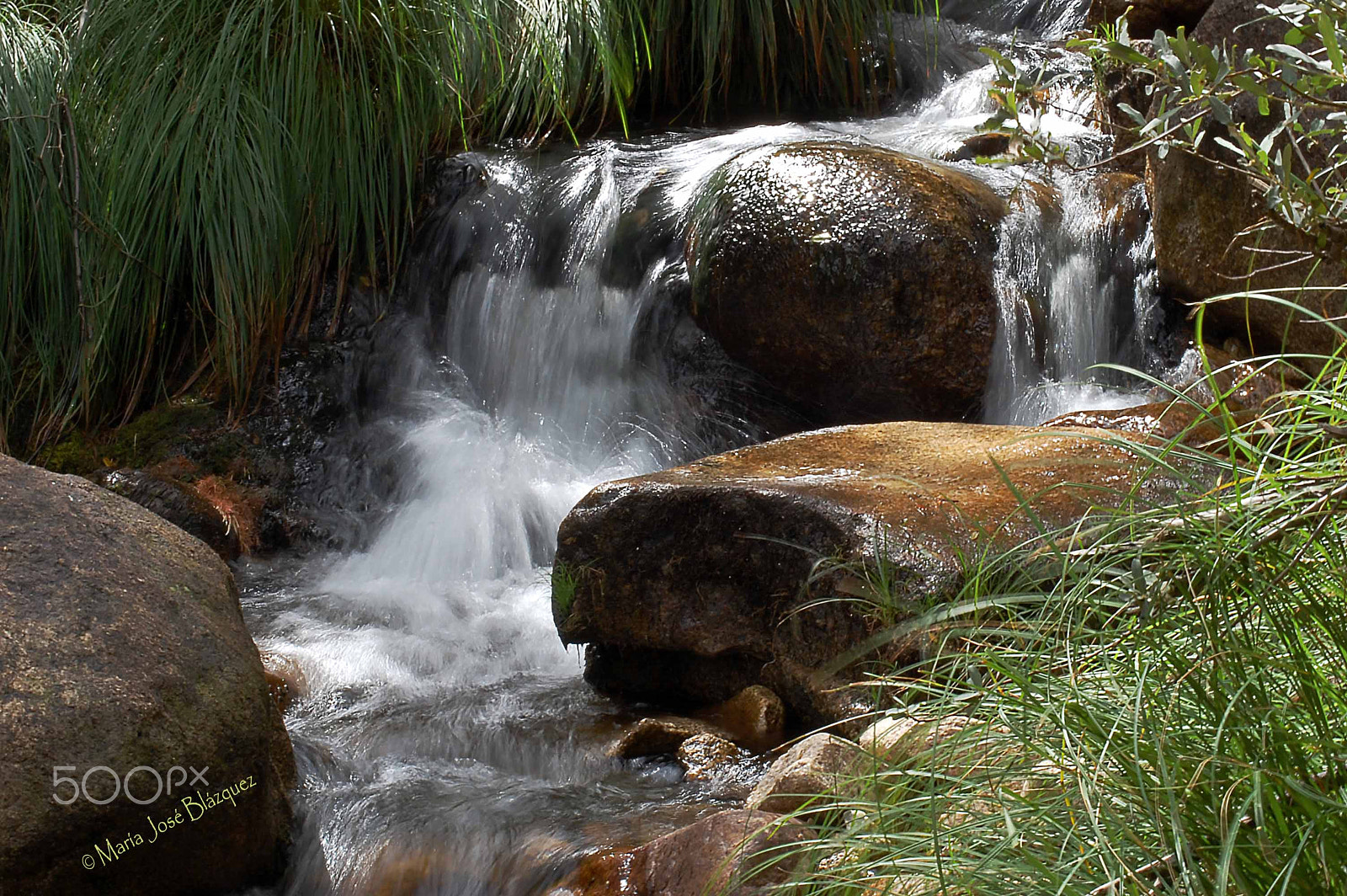 Nikon D40 sample photo. Naturaleza en estado puro photography