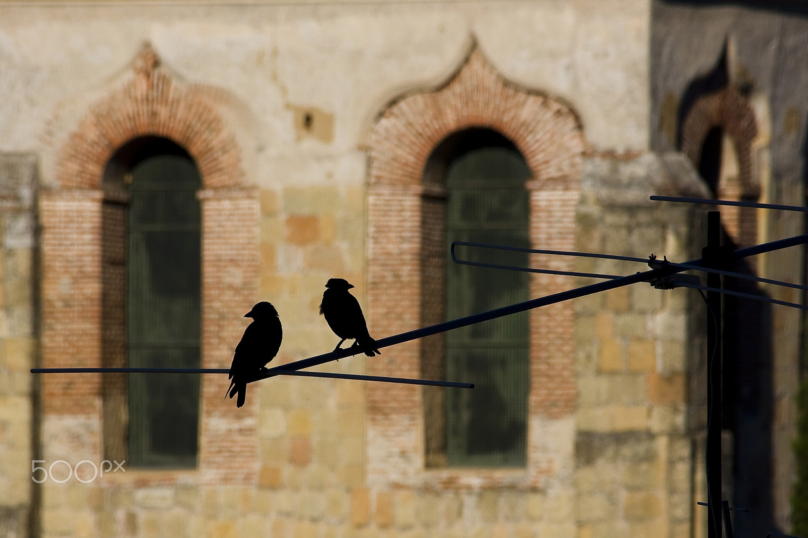 Canon EF 70-300mm F4-5.6 IS USM sample photo. Posing before a church in segovia photography