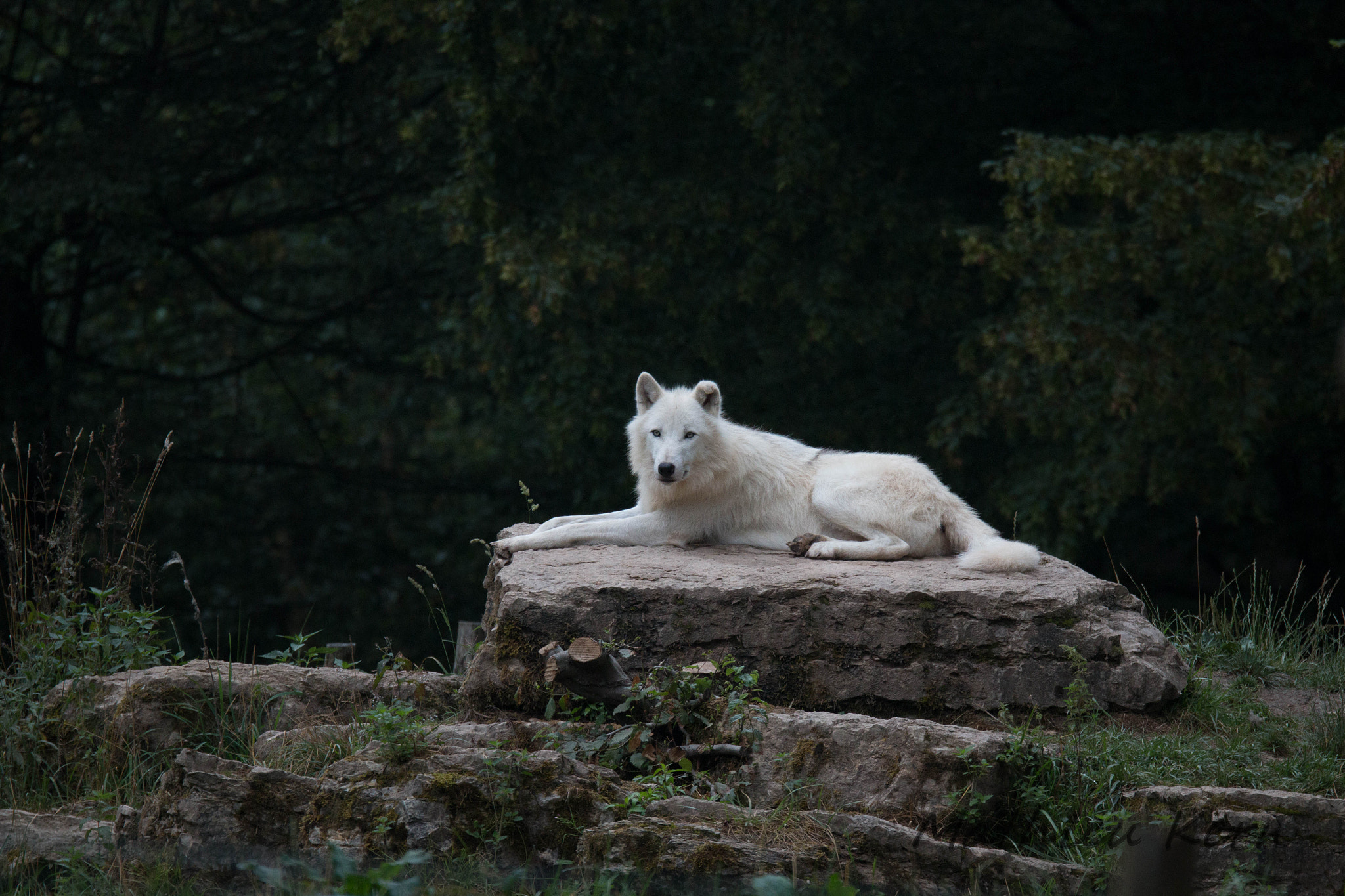 150-600mm F5-6.3 DG OS HSM | Sports 014 sample photo. 2016072400082.jpg photography