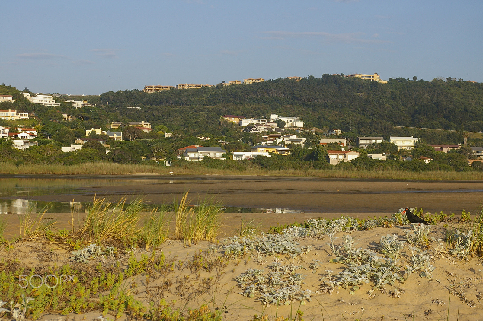 Pentax *ist DL2 sample photo. Plettenburg bay photography
