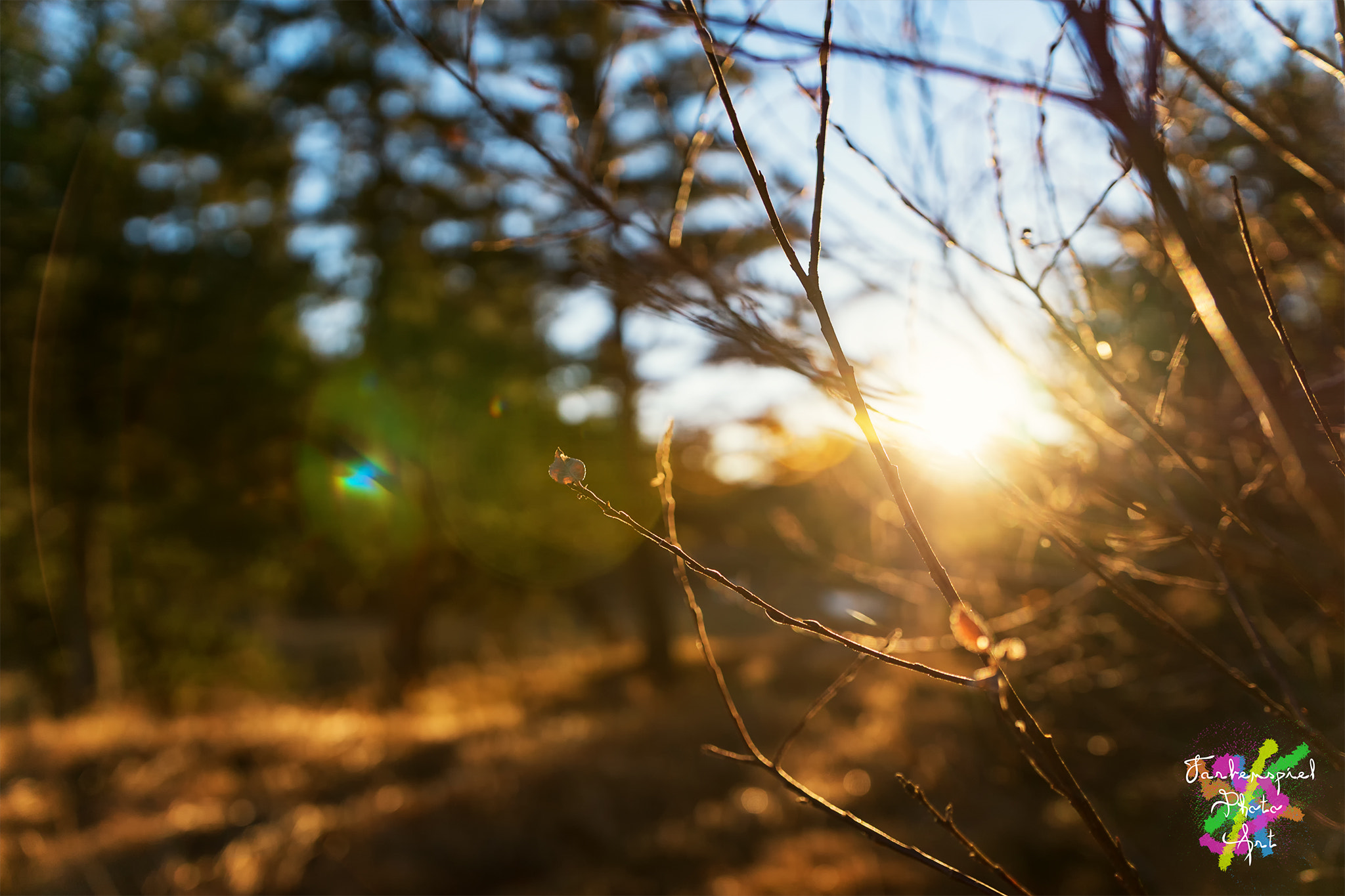 Sony ILCA-77M2 + Sigma 18-35mm F1.8 DC HSM Art sample photo. Autumn beginning photography