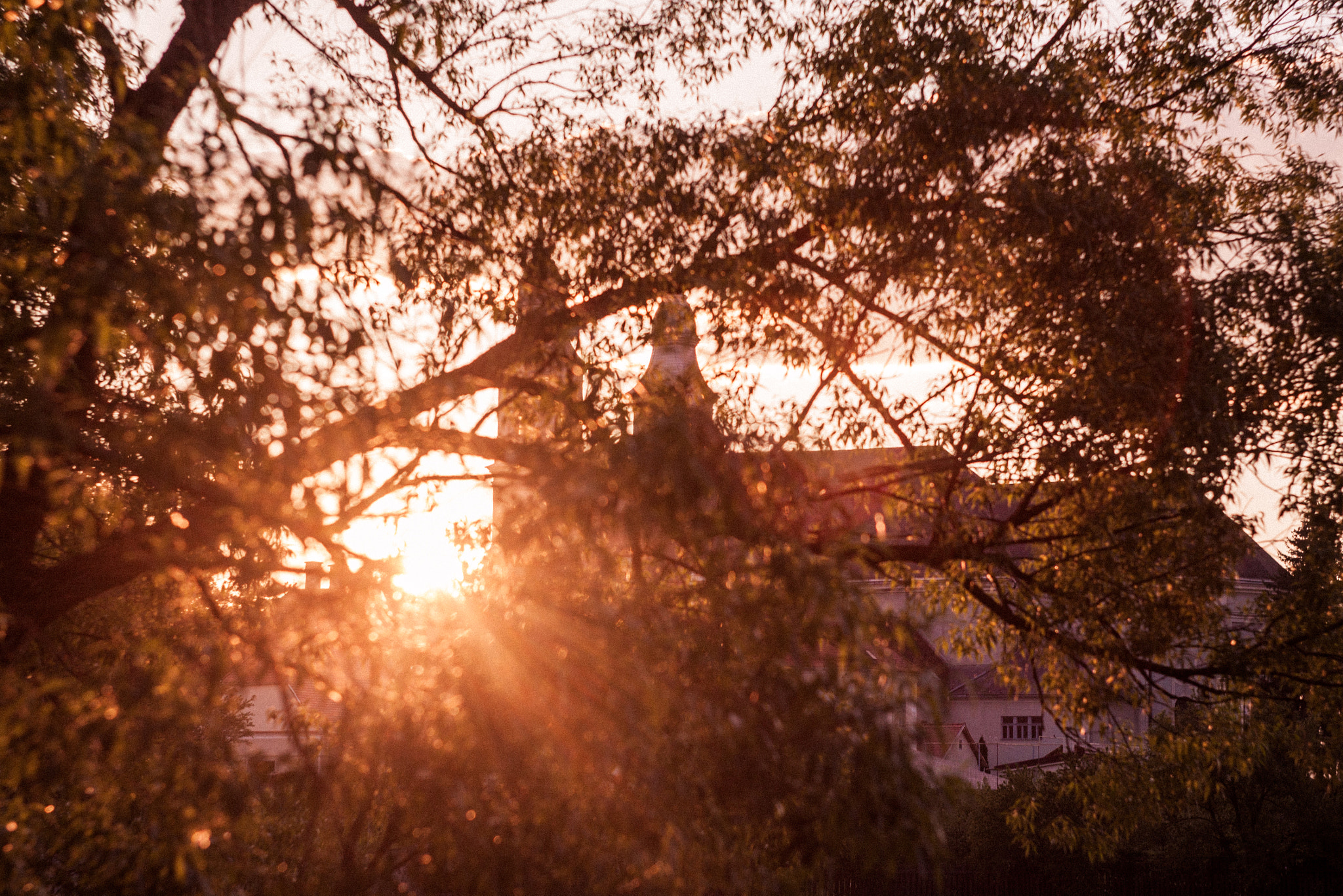 Canon EF 35-80mm f/4-5.6 sample photo. Last lights photography