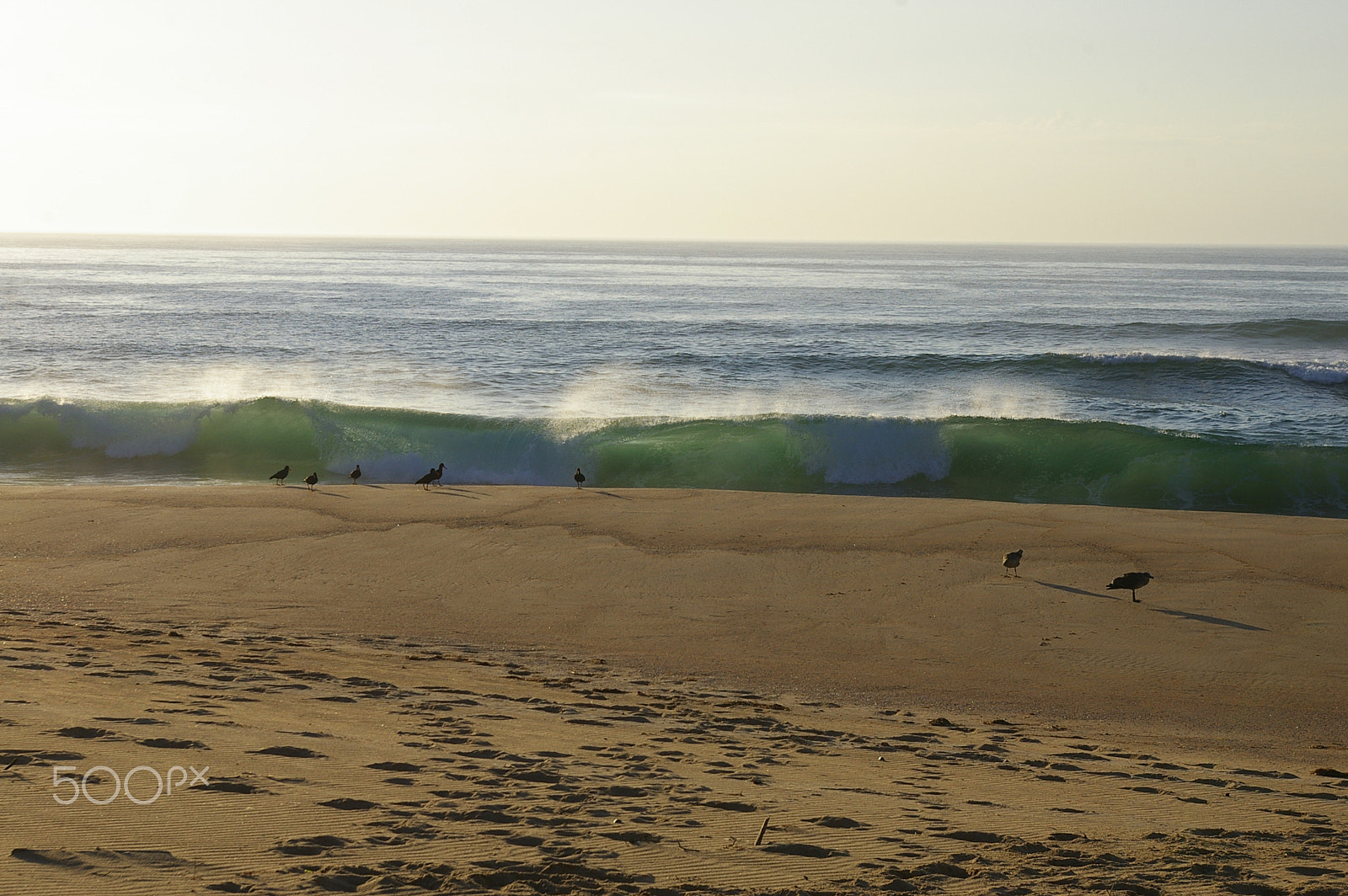 Pentax *ist DL2 sample photo. Keurbooms beach photography