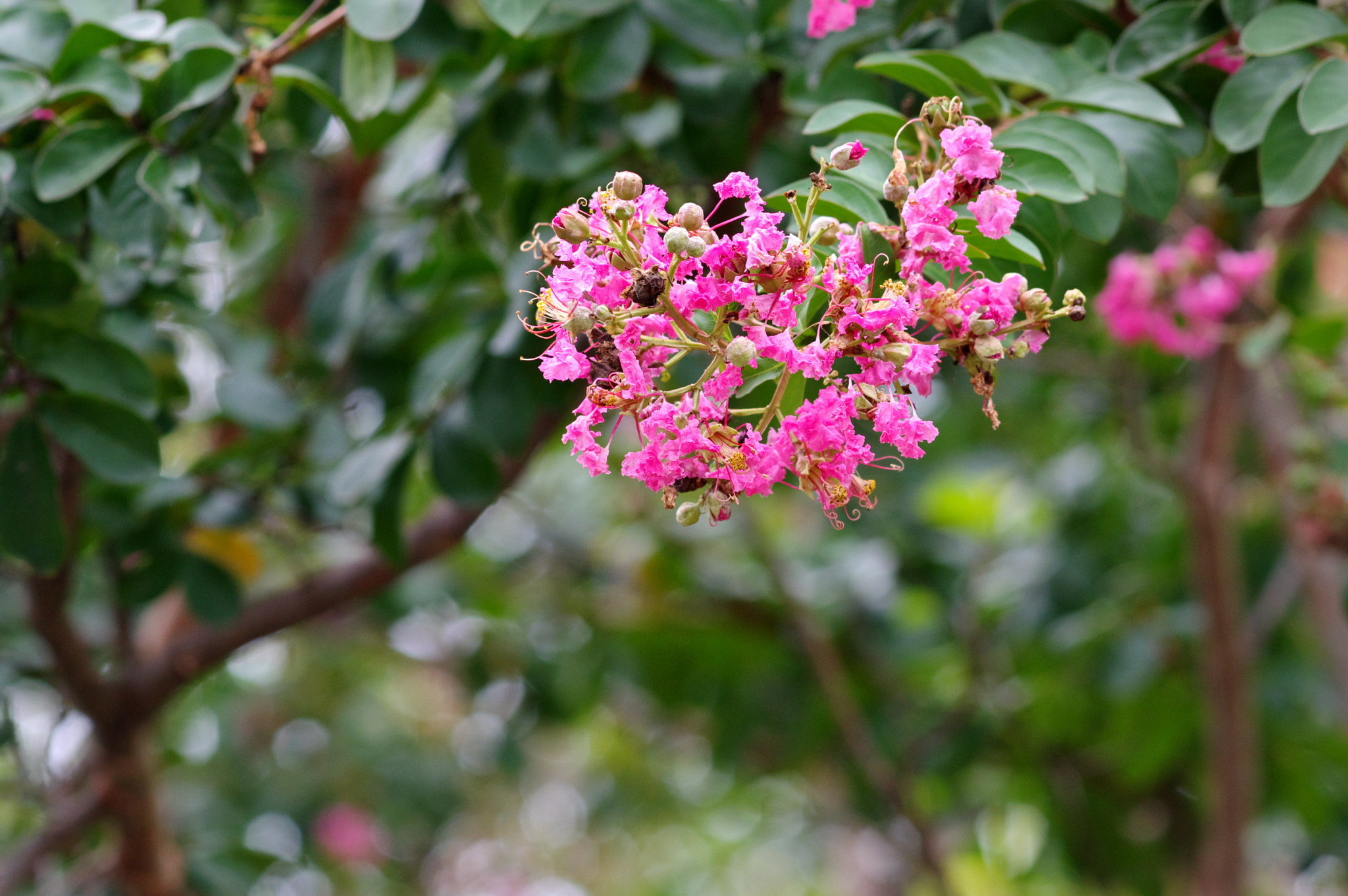 Pentax K-3 sample photo. Late september now.... photography