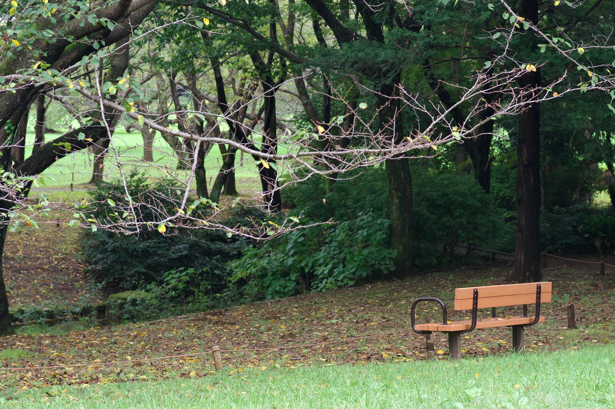 Pentax smc FA 77mm 1.8 Limited sample photo. Just waiting.... photography