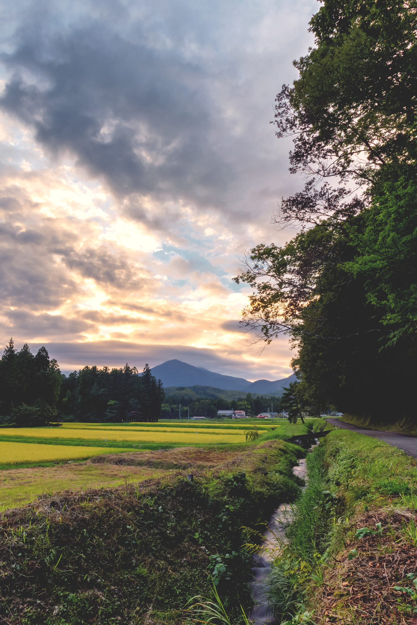 Canon EOS 6D + Canon EF 20-35mm F3.5-4.5 USM sample photo. Sunset stream photography