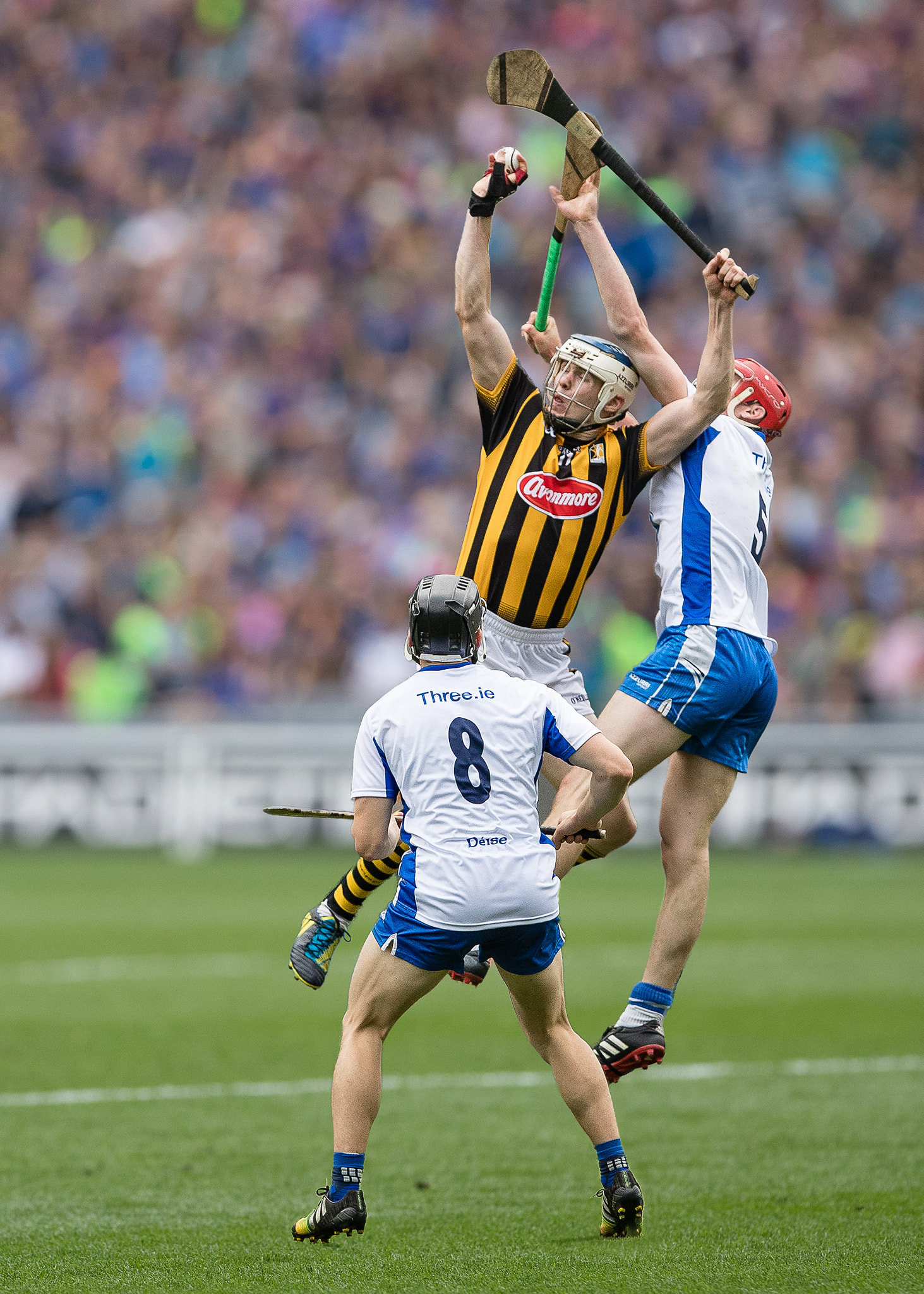 Canon EF 300mm F2.8L IS USM sample photo. Paul lanigan photography