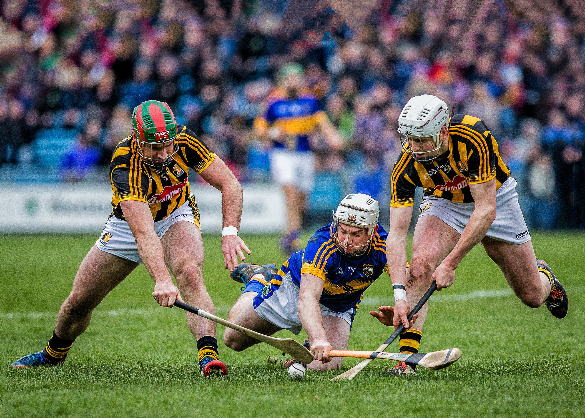 Canon EF 300mm F2.8L IS USM sample photo. Paul lanigan photography