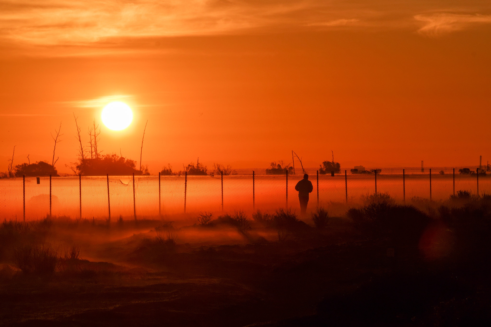 Canon EOS 650D (EOS Rebel T4i / EOS Kiss X6i) sample photo. Sunrise jogger photography
