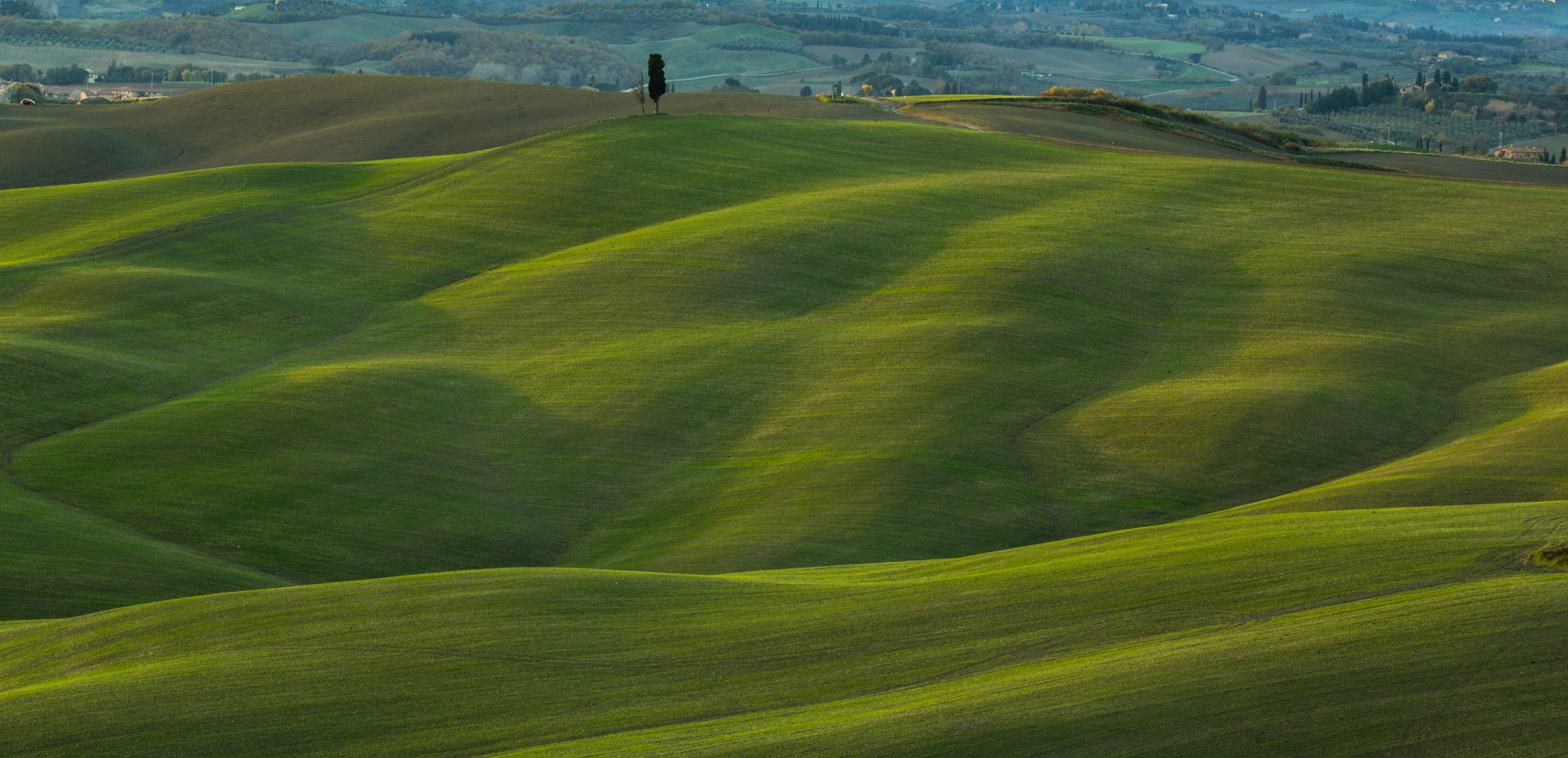 Sigma 105mm F2.8 EX DG OS HSM sample photo. Windows wallpaper photography