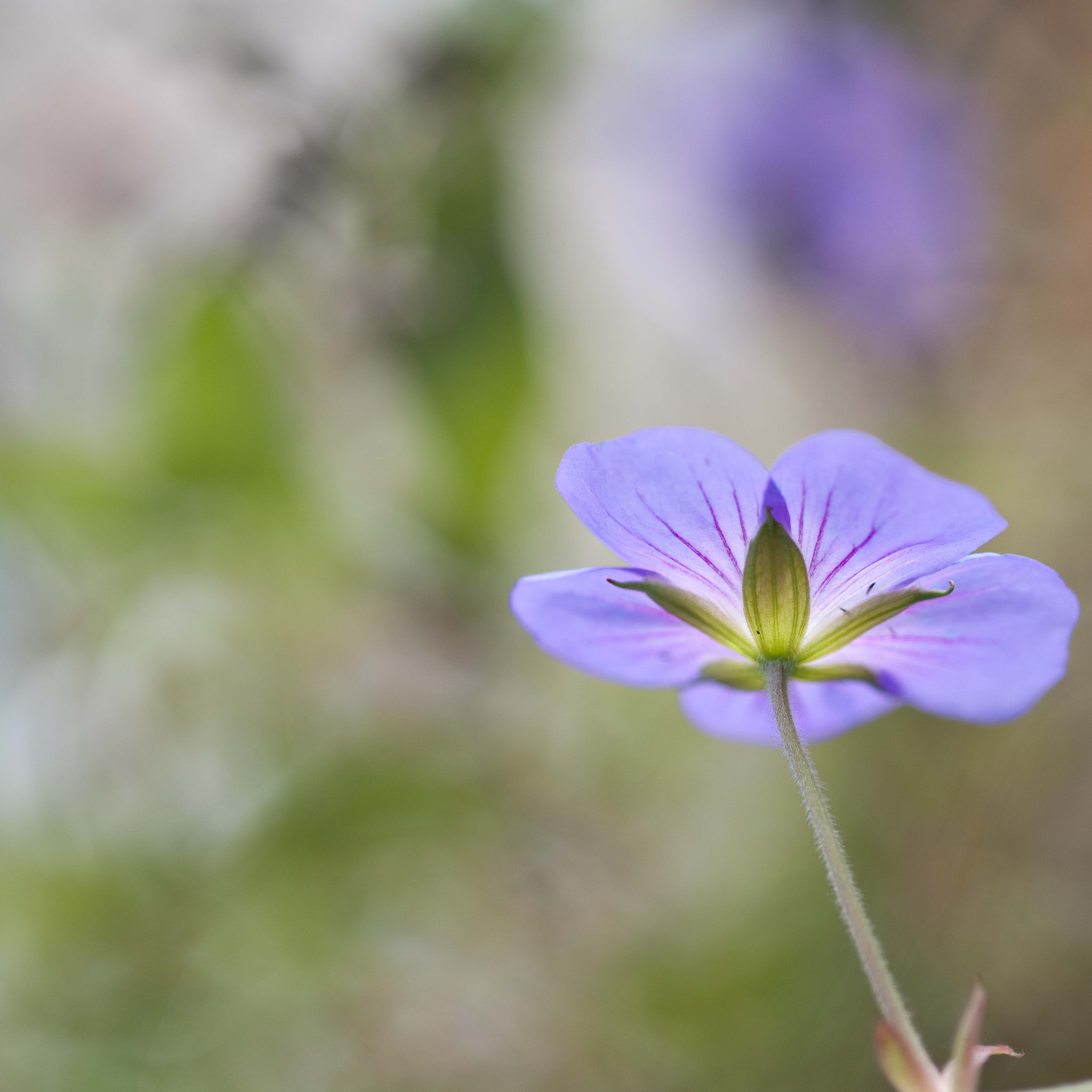 Nikon D3 sample photo