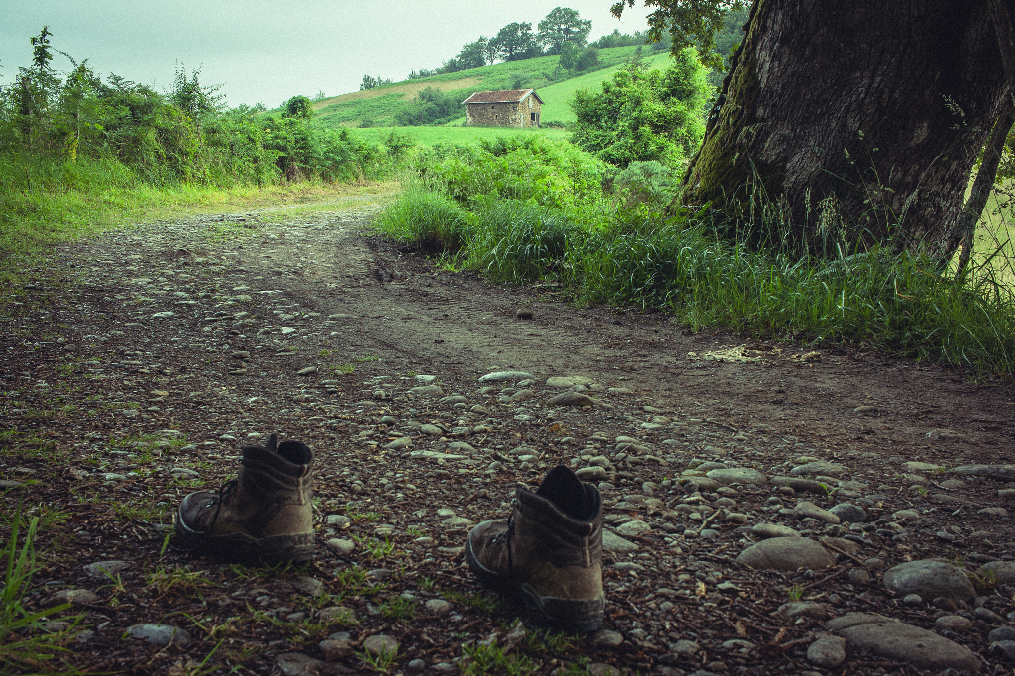 Canon EF-S 24mm F2.8 STM sample photo. Invisible pilgrim photography