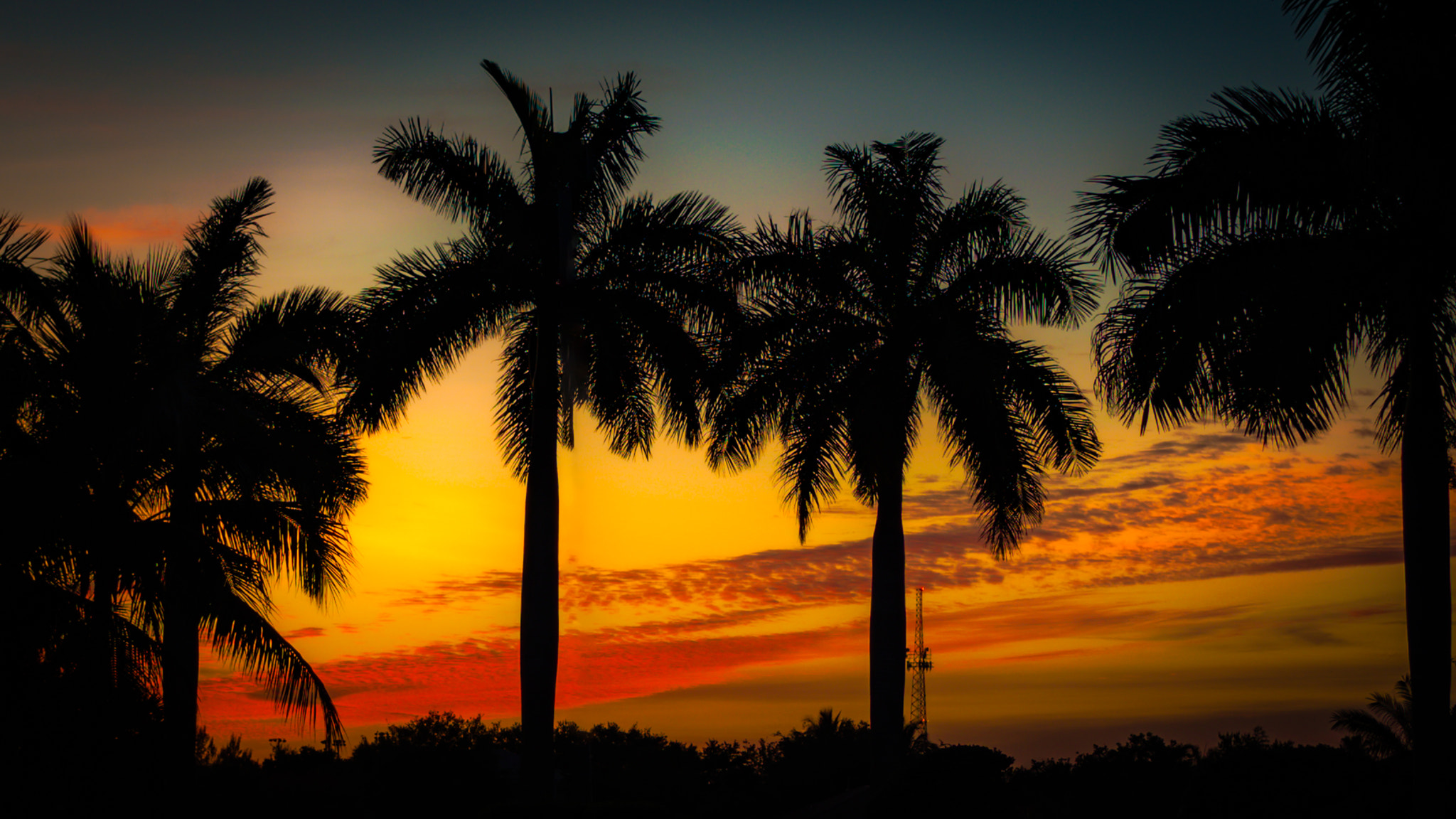 Olympus PEN E-P5 sample photo. Endless summer photography