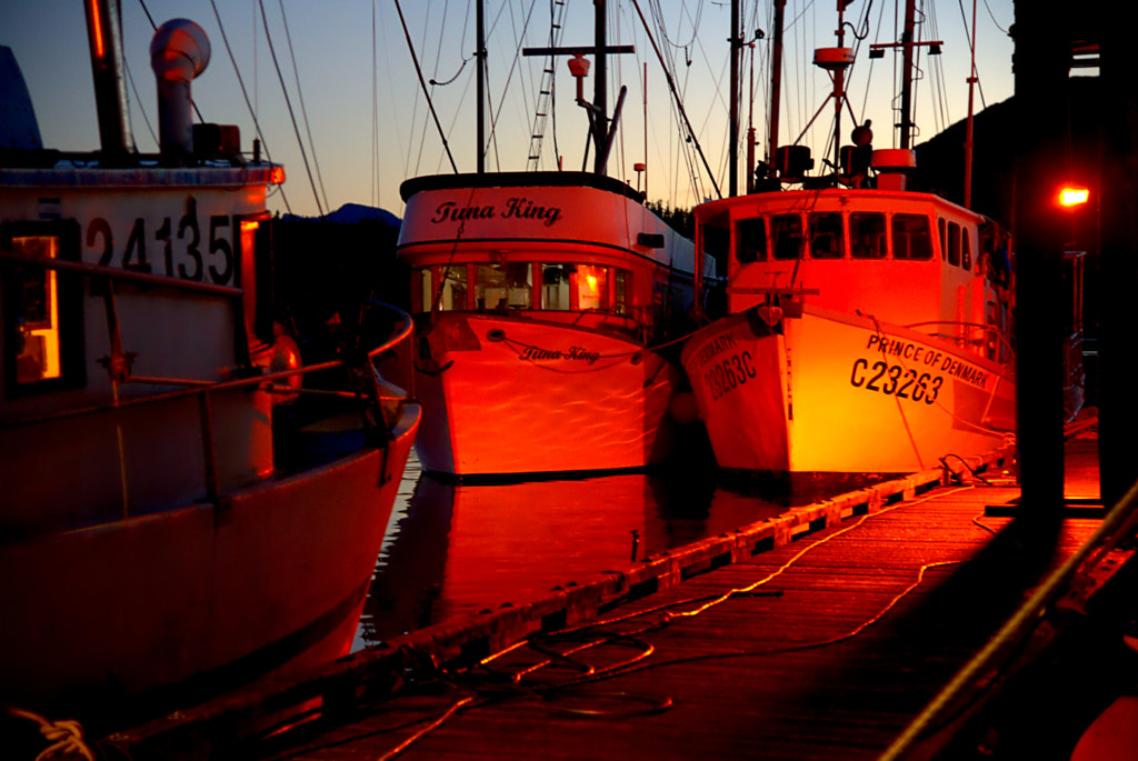At the Japanese Dock Ucluelet by Cas Balicki / 500px