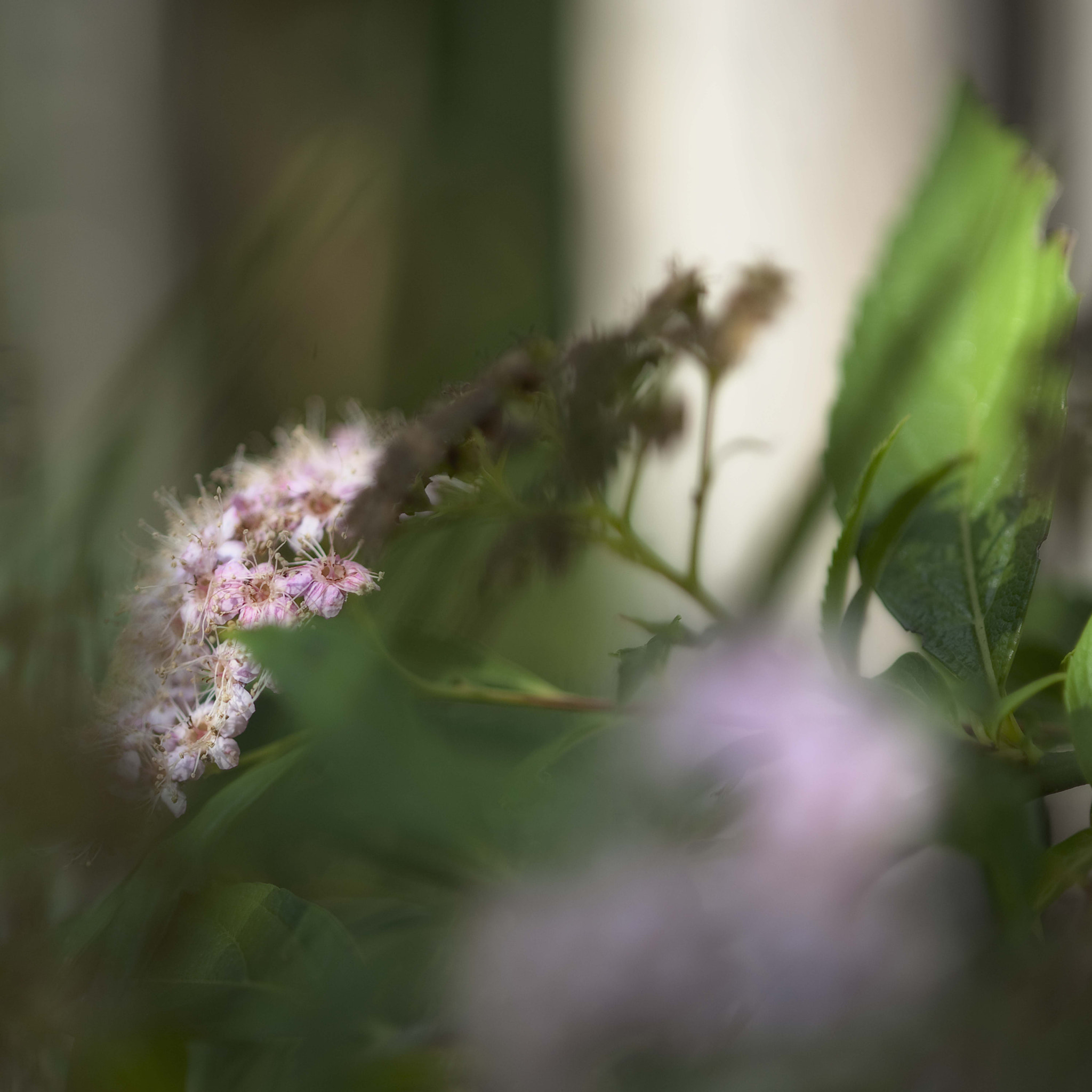 Nikon D3 sample photo