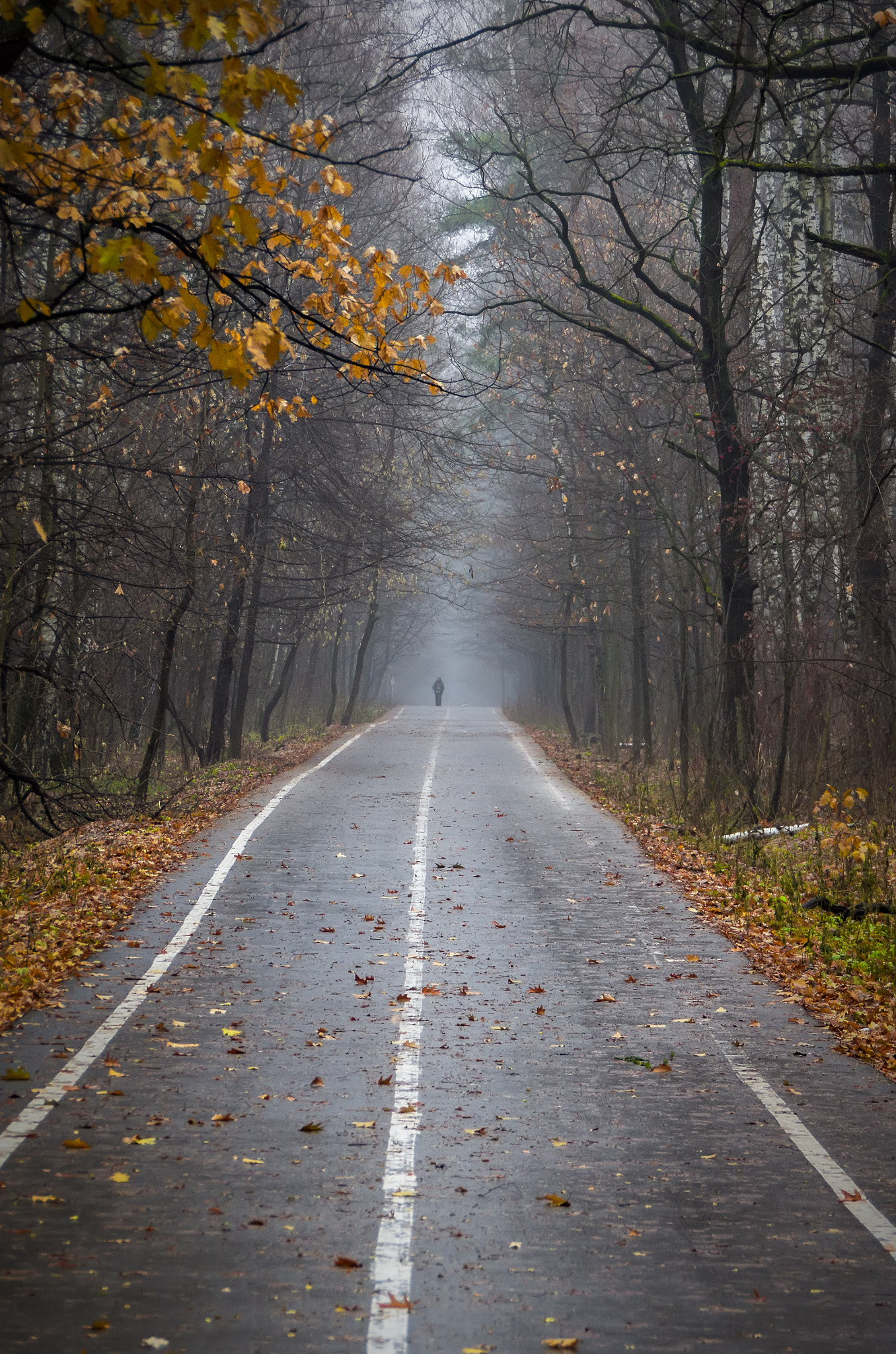 Pentax K-5 sample photo. Правка () photography