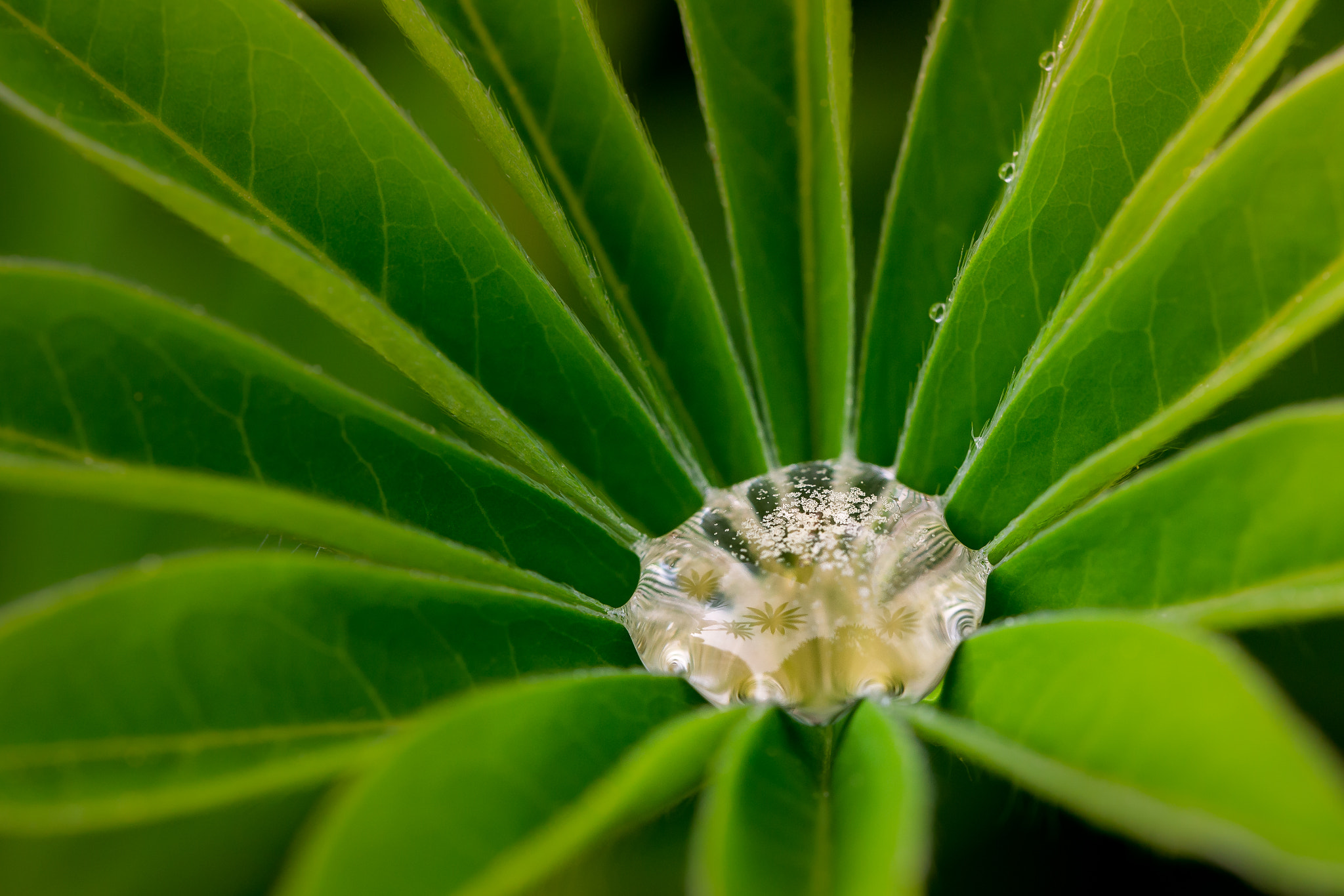 Nikon D600 sample photo. Glance in the mirror photography