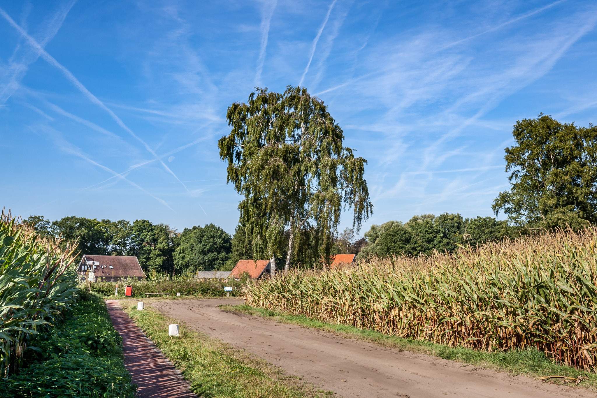 Canon EF 16-35mm F4L IS USM sample photo. Autumn is coming... photography