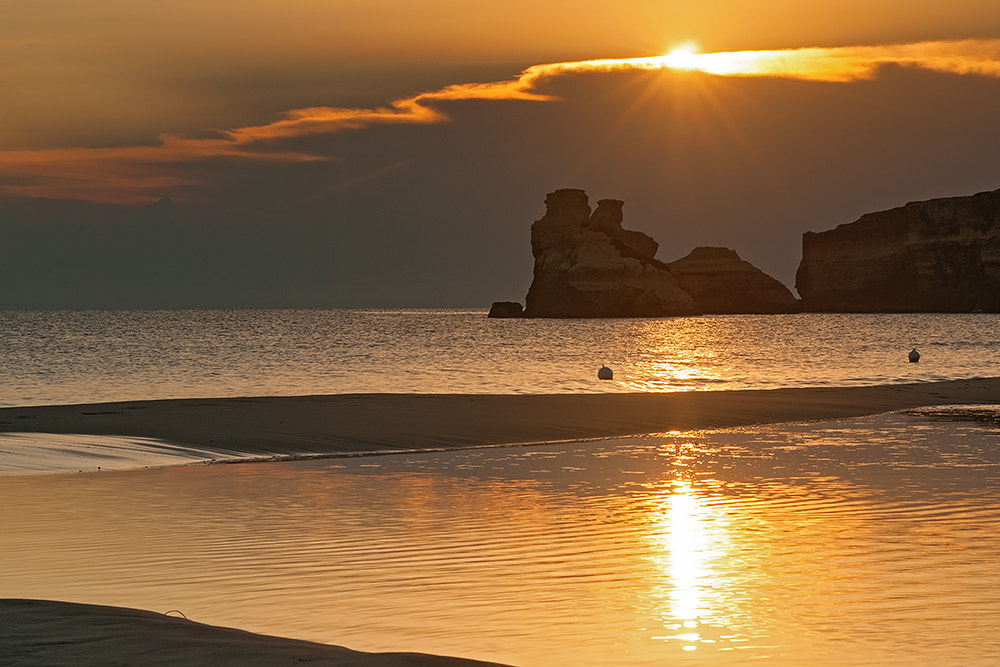 AF Zoom-Nikkor 80-200mm f/2.8 ED sample photo. Bathed in gold photography
