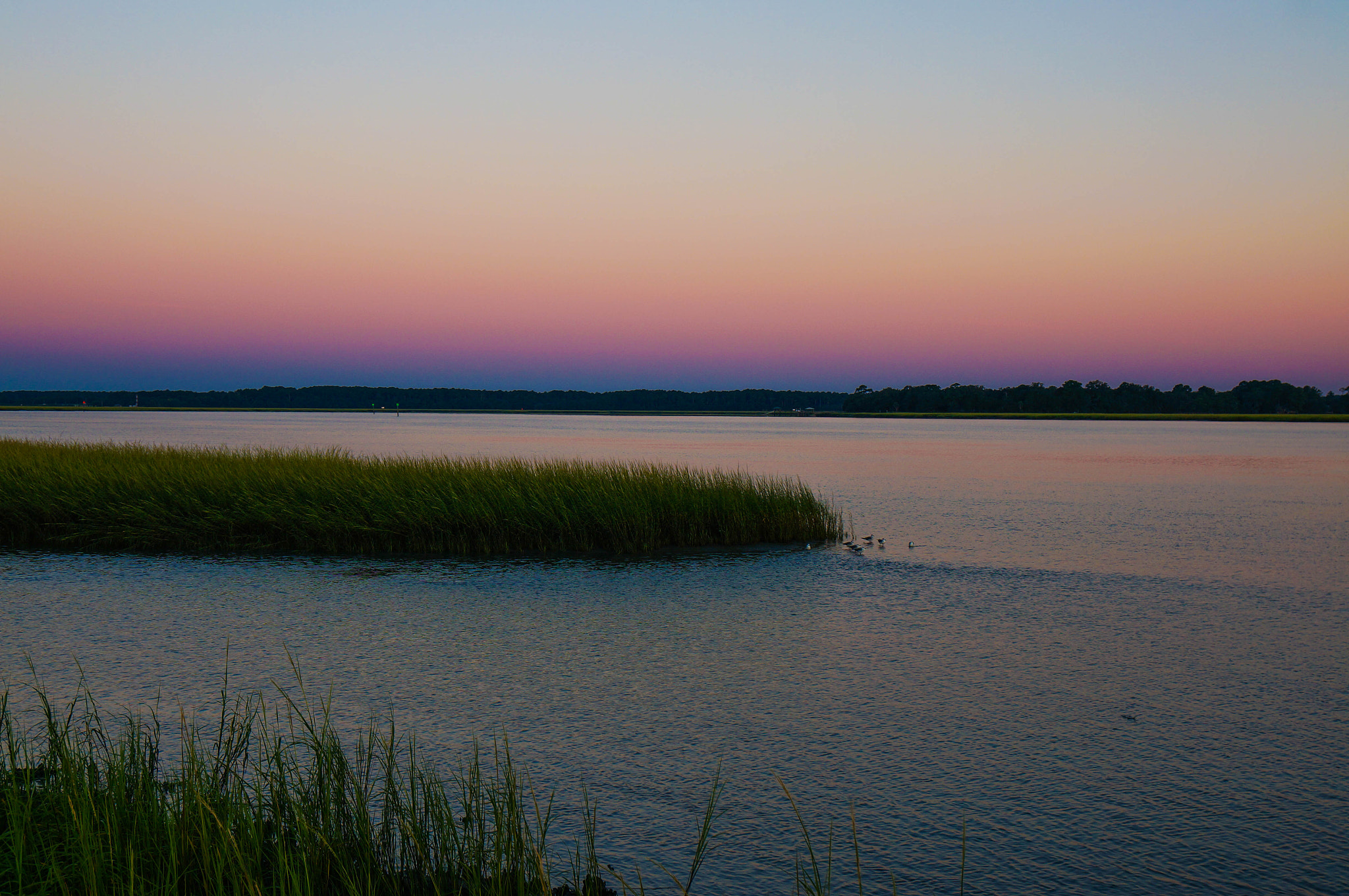 Sony Alpha NEX-6 + Sony Vario-Tessar T* E 16-70mm F4 ZA OSS sample photo. New day in beaufort sc photography