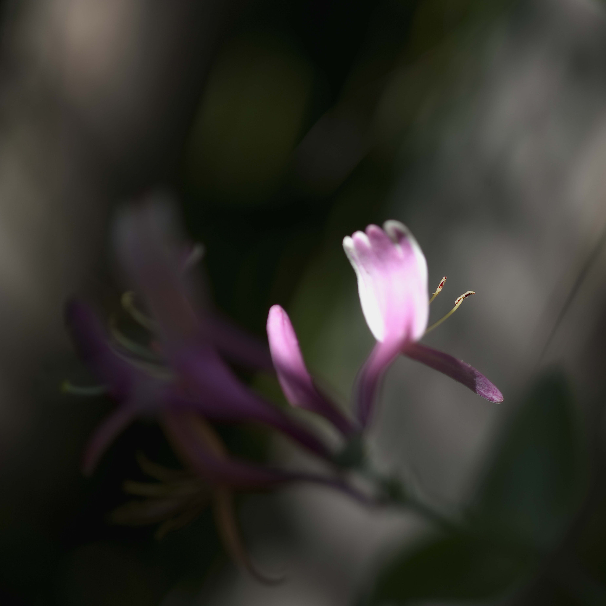 Nikon D3 sample photo