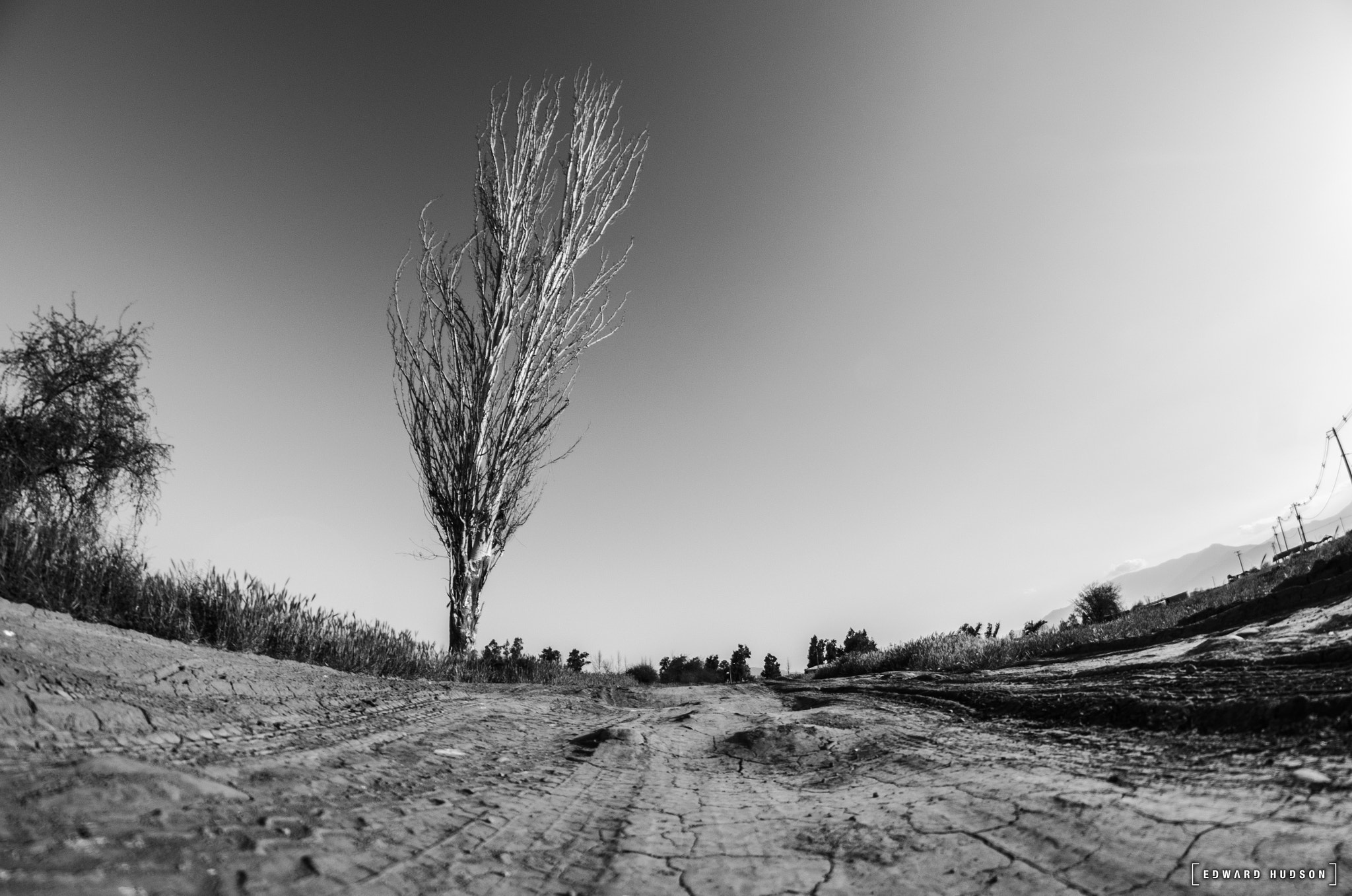 Nikon D5100 + Samyang 8mm F3.5 Aspherical IF MC Fisheye sample photo. Dsc photography