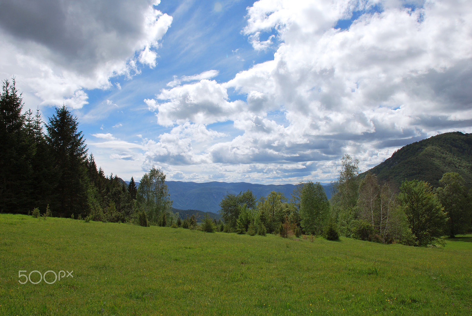 Nikon D60 sample photo. Landscape and nature in serbia photography