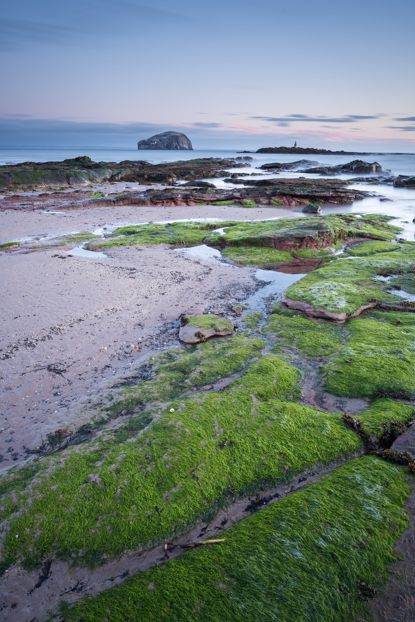 Nikon D810 + Nikon PC-E Nikkor 24mm F3.5D ED Tilt-Shift sample photo. Auldhame green photography