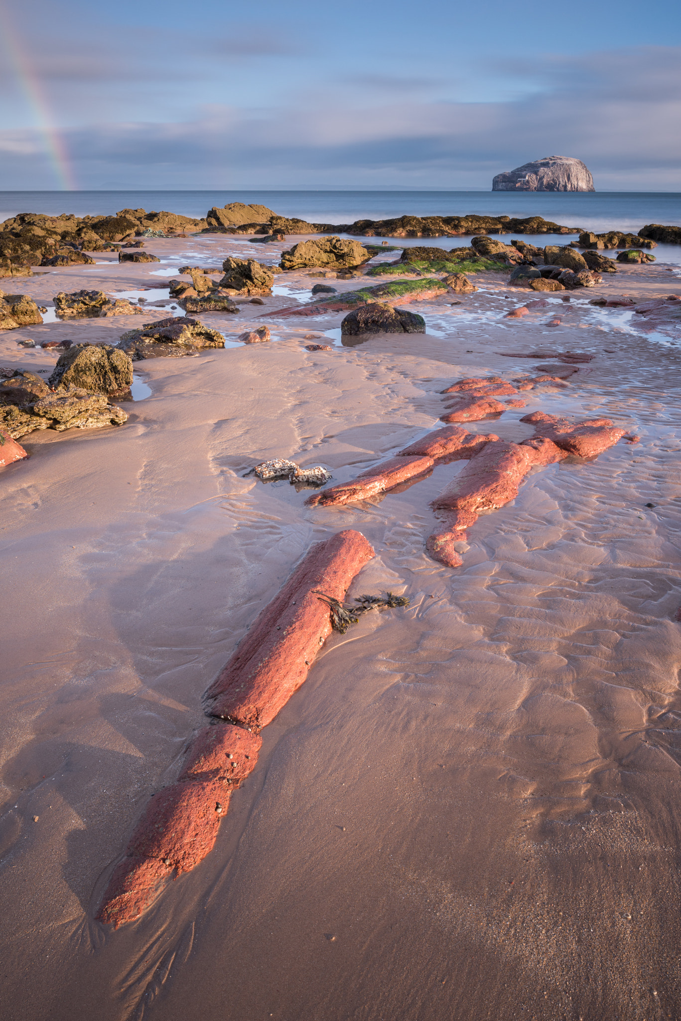 Nikon D810 + Nikon PC-E Nikkor 24mm F3.5D ED Tilt-Shift sample photo. Auldhame red photography