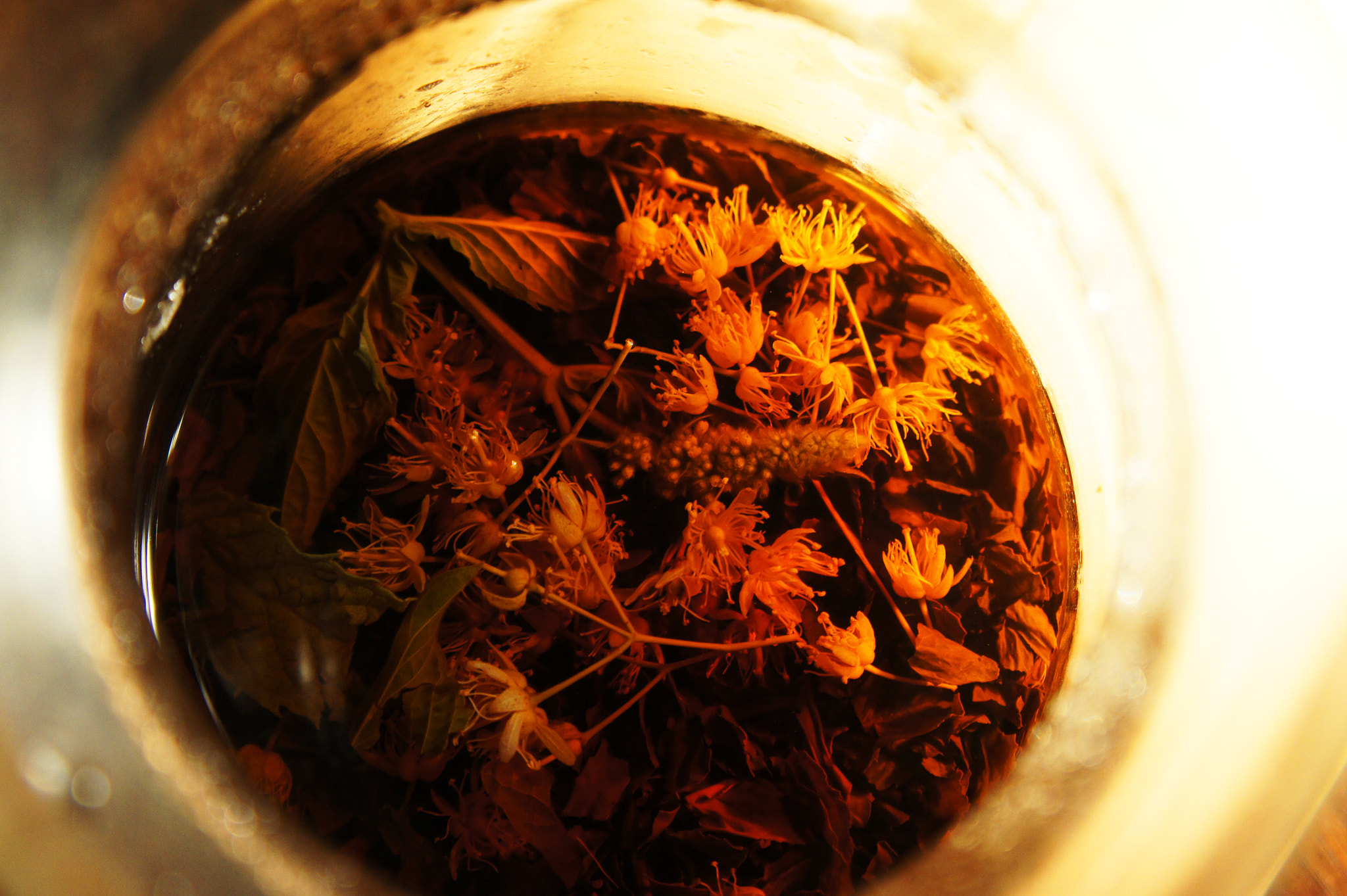 Sony Alpha NEX-3 + Sony E 18-55mm F3.5-5.6 OSS sample photo. Tea flowers photography