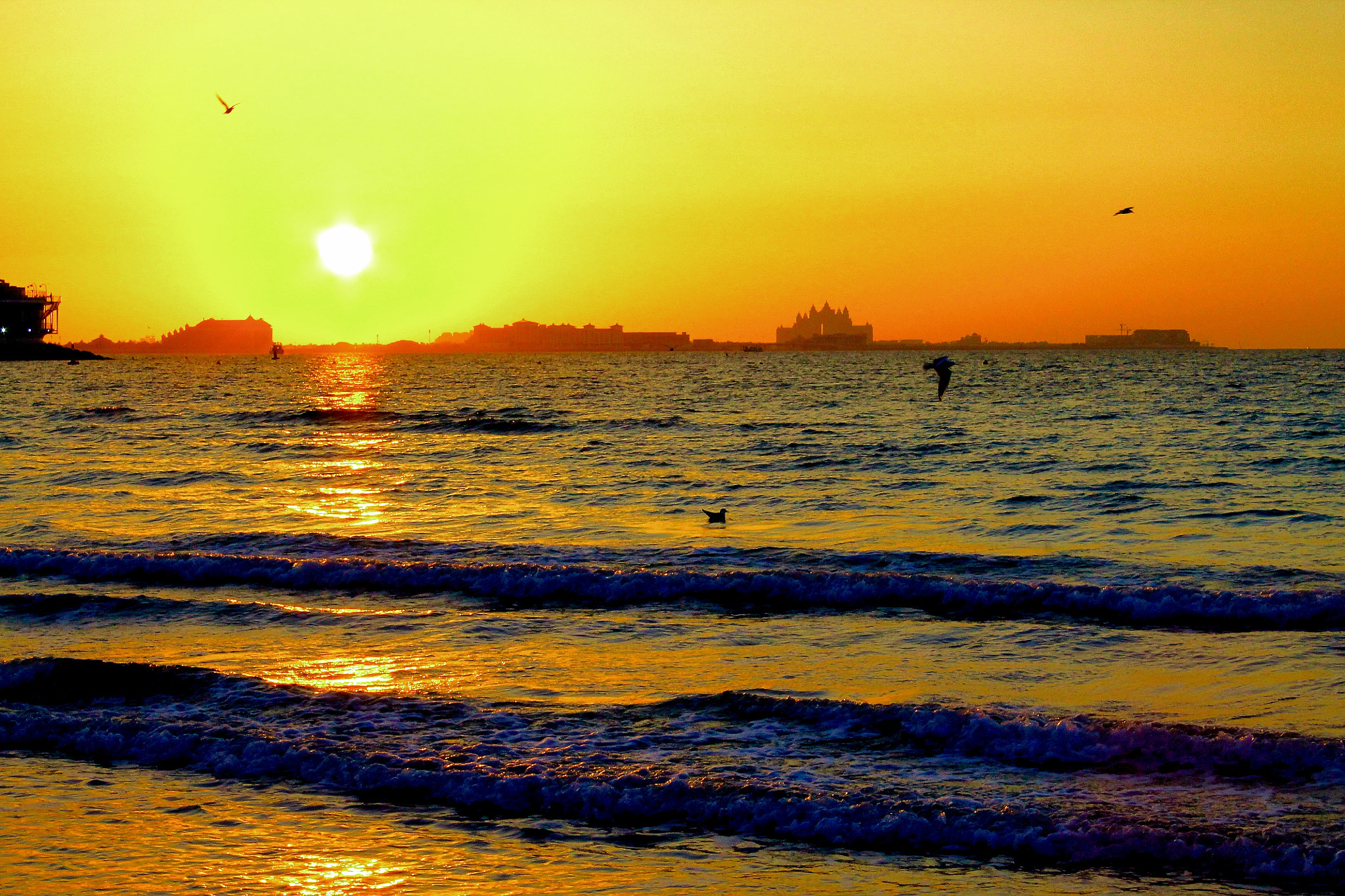 Canon EOS 1100D (EOS Rebel T3 / EOS Kiss X50) + Canon EF-S 18-55mm F3.5-5.6 III sample photo. Golden winter sunset over palm jumeirah photography