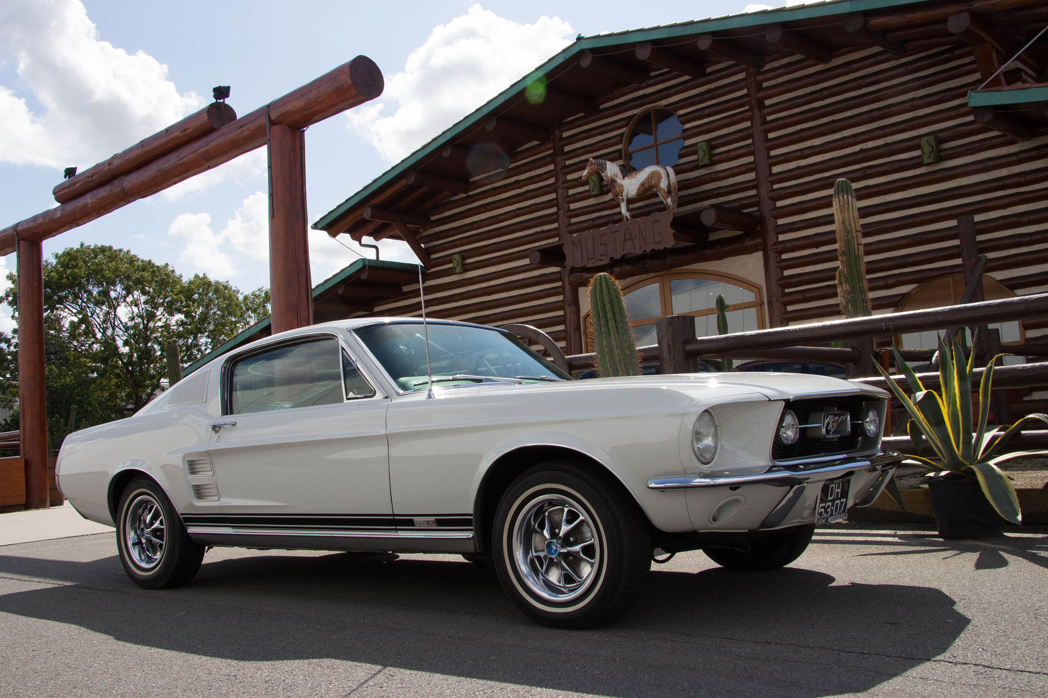 Canon EF-S 17-85mm F4-5.6 IS USM sample photo. Mustang photography