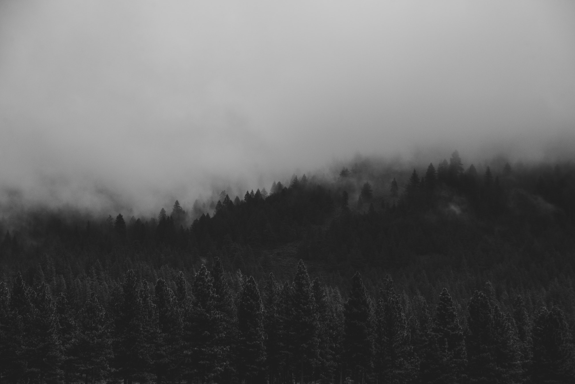 AF Zoom-Nikkor 28-105mm f/3.5-4.5D IF sample photo. Plumas photography