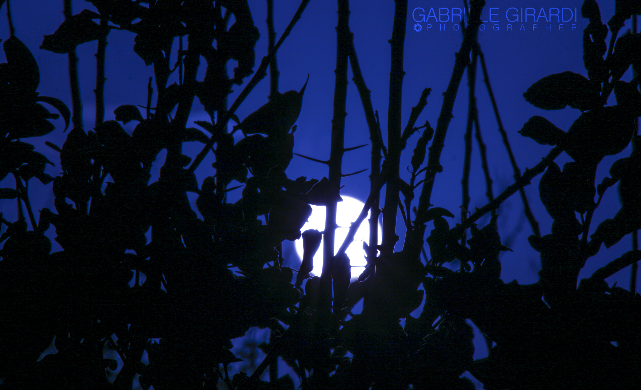 Canon EF 75-300mm f/4-5.6 USM sample photo. Thorns in the night photography